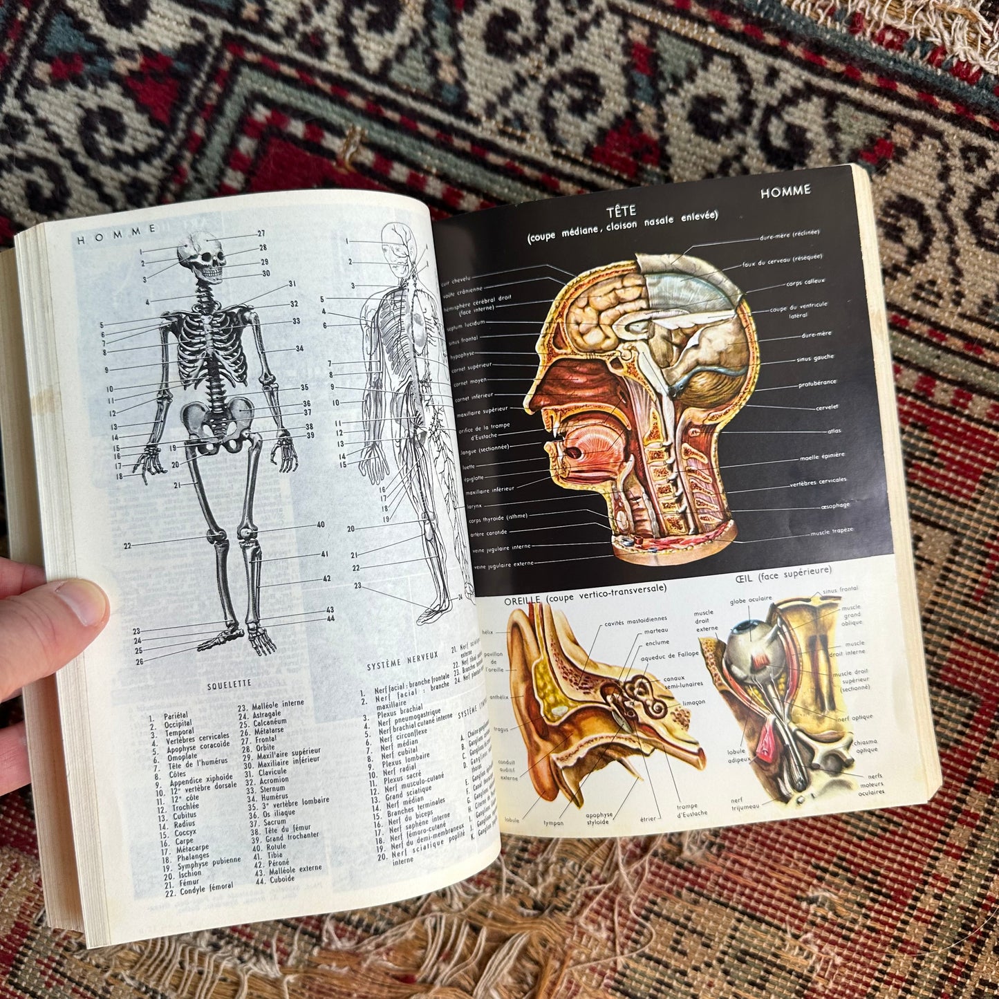 Petit Larousse French Encyclopedic Dictionary - 1967