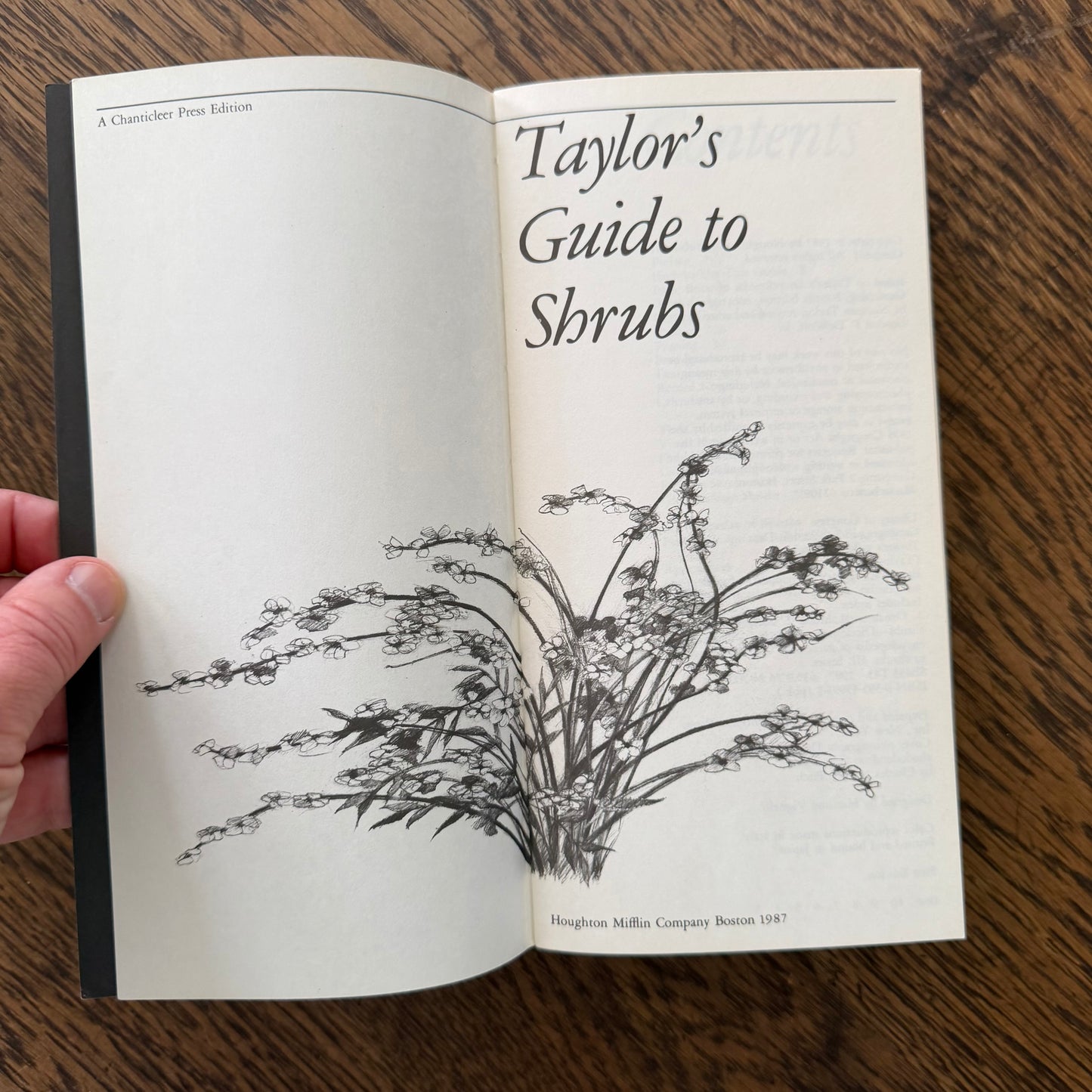Taylor’s Guides to Gardening Set of 10 | Houghton Mifflin 1986–1996 | Bulbs Roses Herbs Houseplants Garden Design | Vintage Gardening Books