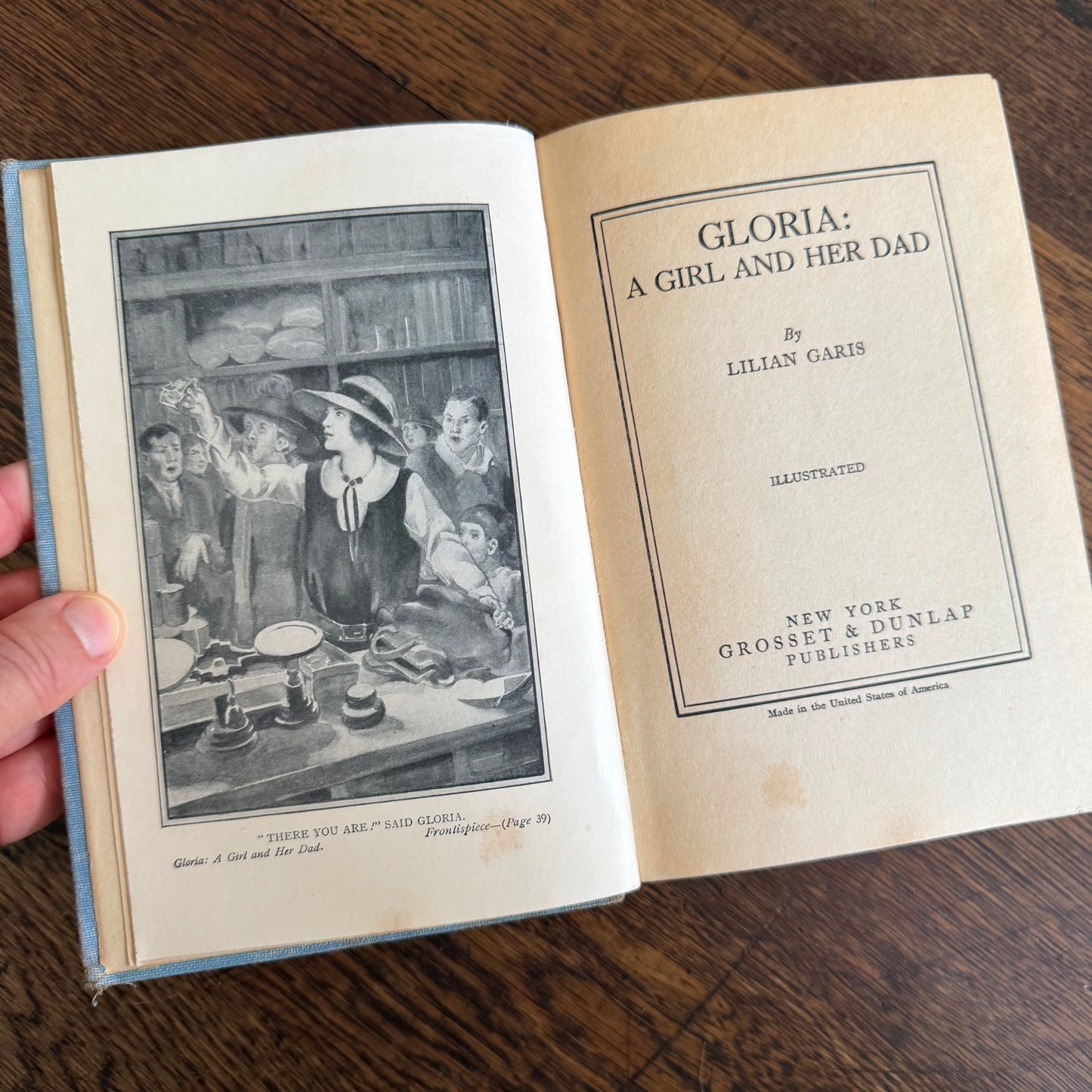 6 Antique Fiction Books in Fabulous Shades of Blue - 1900-1925 - Lillian Garis Laura Lee Hope Gene Stratton Porter, etc.