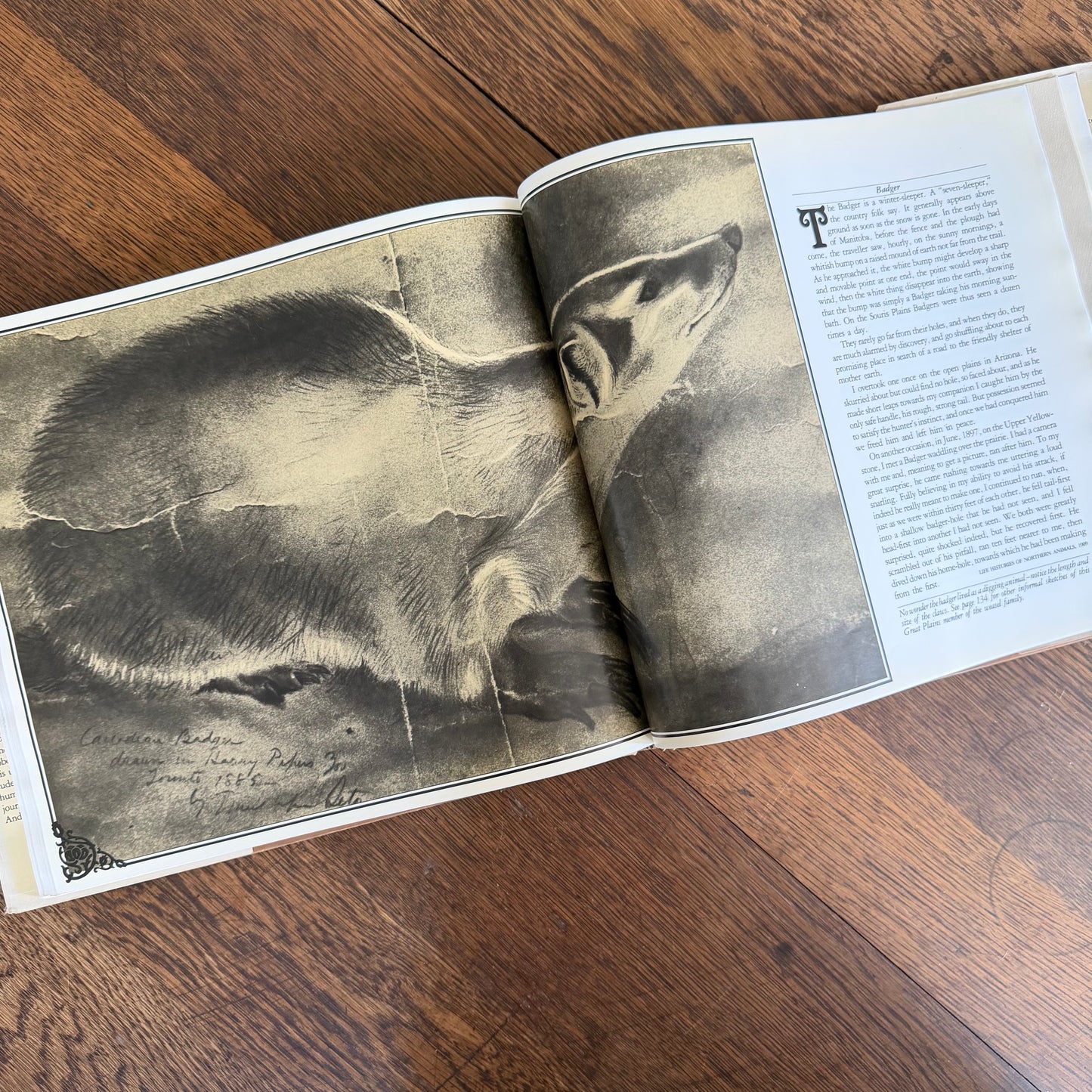 The Worlds of Ernest Thompson Seton -  1976 - First Edition - Edited by John G. Samson- Vintage Wildlife Art Nature Book