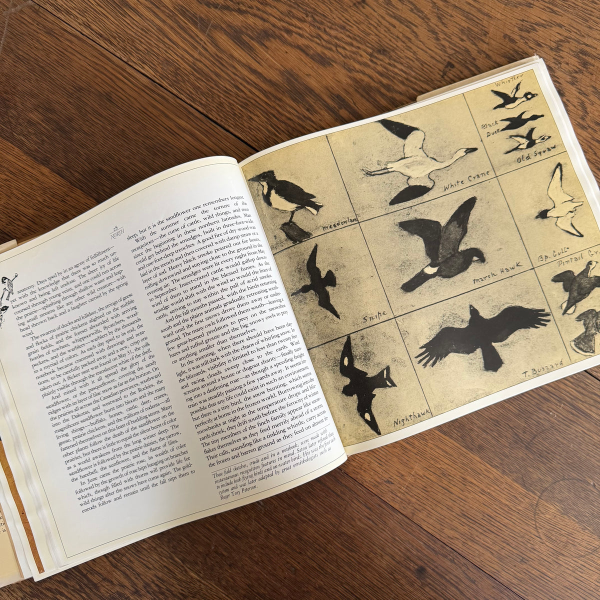 The Worlds of Ernest Thompson Seton -  1976 - First Edition - Edited by John G. Samson- Vintage Wildlife Art Nature Book