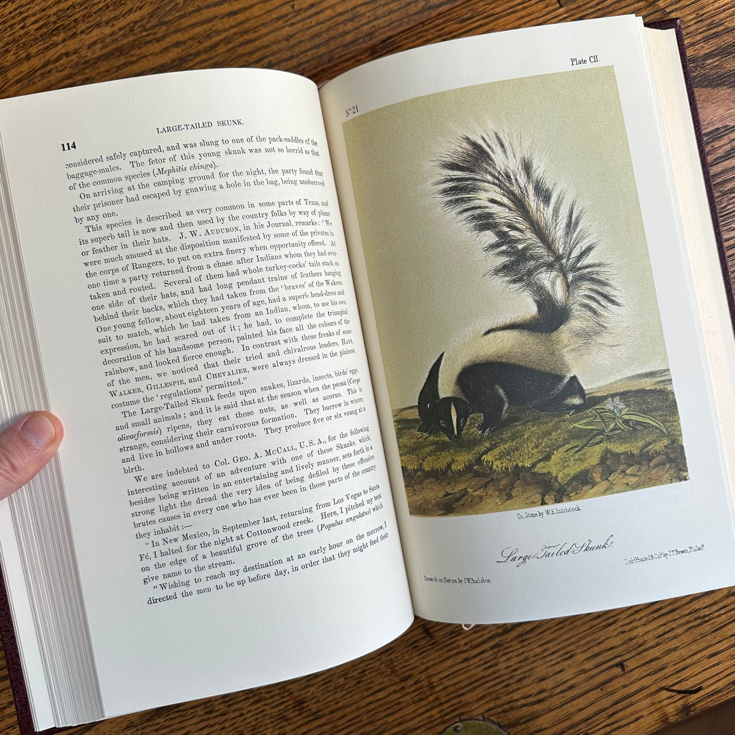 Set of 2 Slipcovered Volair Limited Editions of John James Audubon’s Classics - 1977