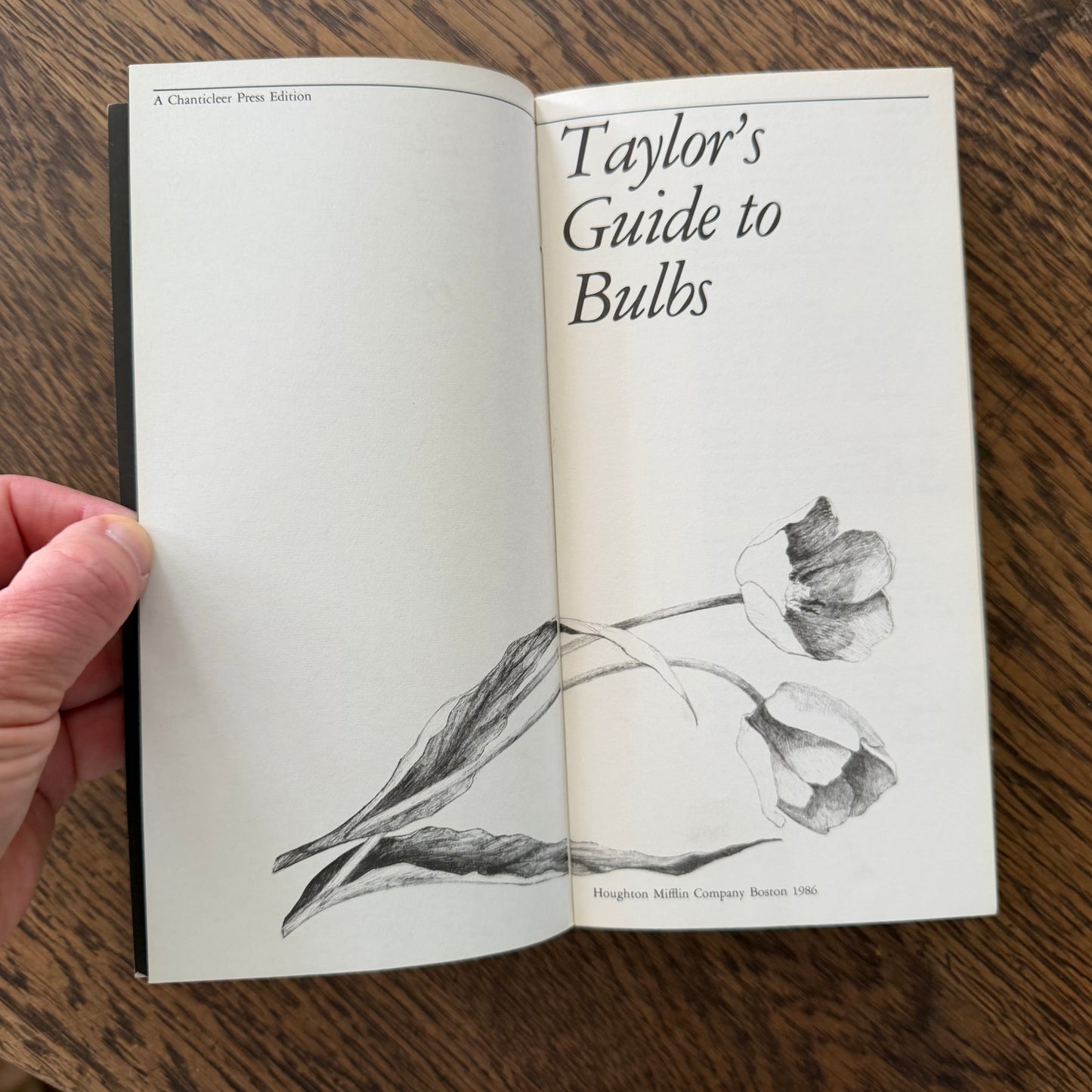 Taylor’s Guides to Gardening Set of 10 | Houghton Mifflin 1986–1996 | Bulbs Roses Herbs Houseplants Garden Design | Vintage Gardening Books