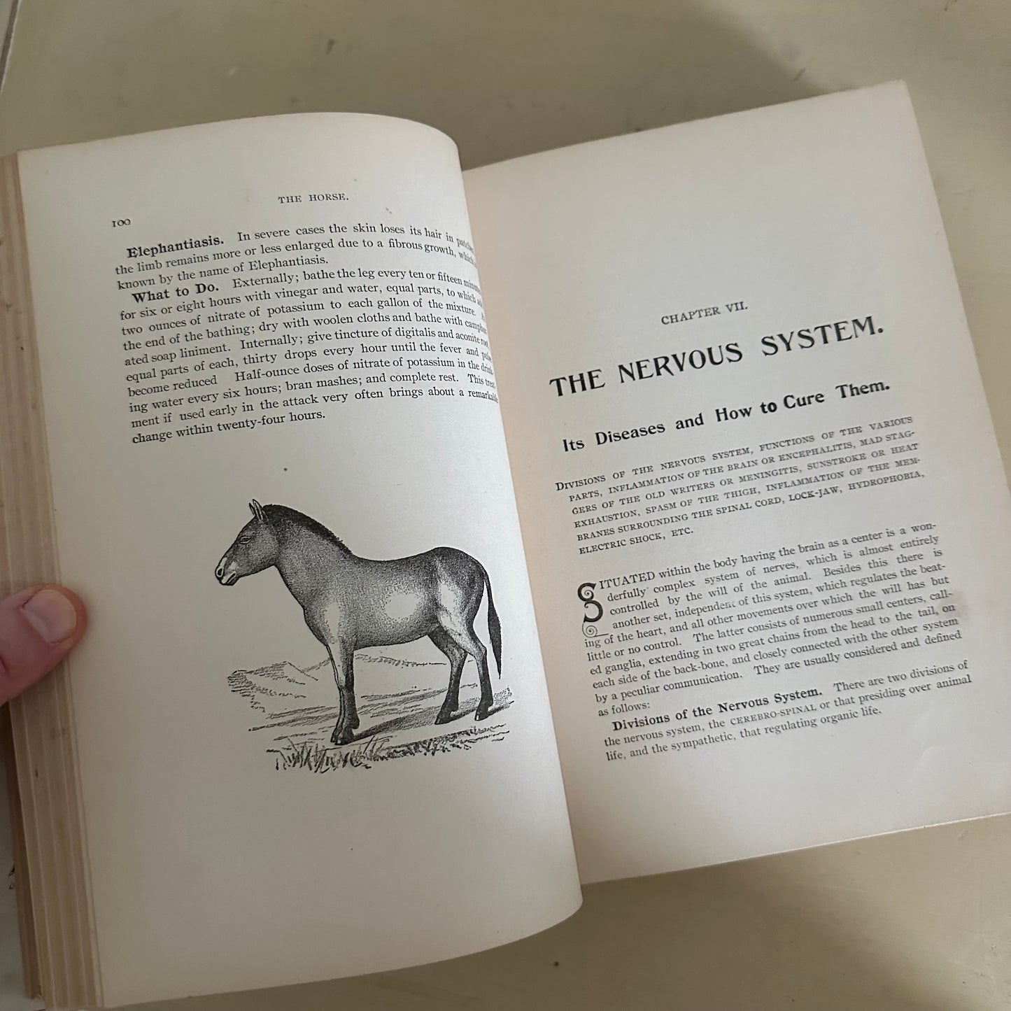 Hand-Book of Ready Reference for Farmers & Homesteaders - 1897