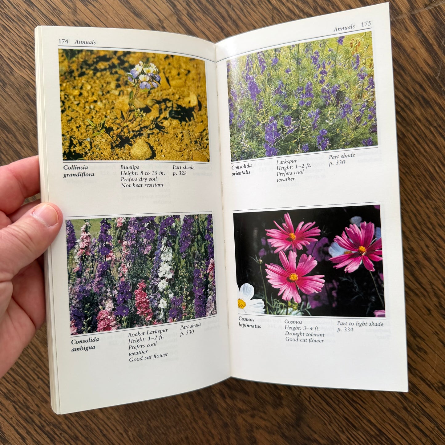 Taylor’s Guides to Gardening Set of 10 | Houghton Mifflin 1986–1996 | Bulbs Roses Herbs Houseplants Garden Design | Vintage Gardening Books
