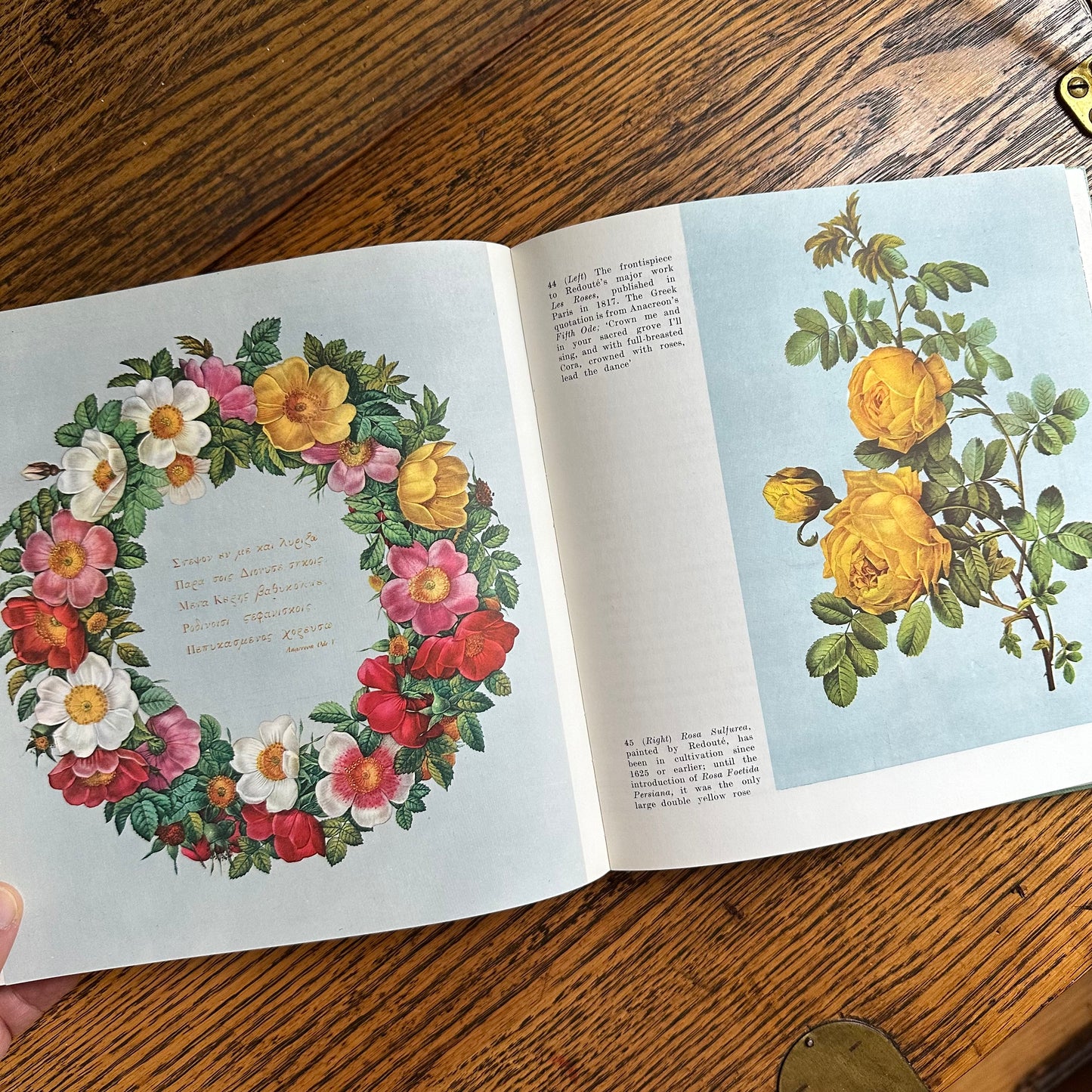 Peter Coats’ Roses: Pleasures and Treasures - 1962