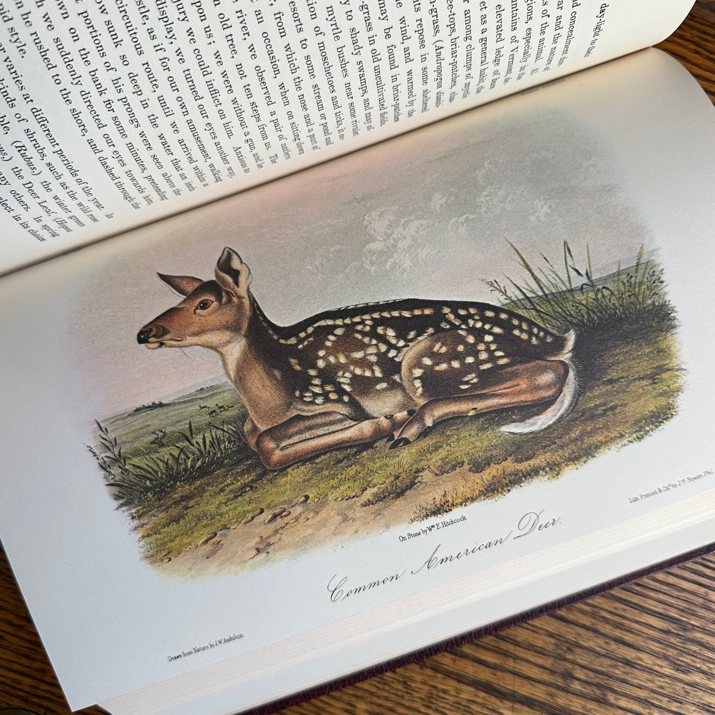 Set of 2 Slipcovered Volair Limited Editions of John James Audubon’s Classics - 1977