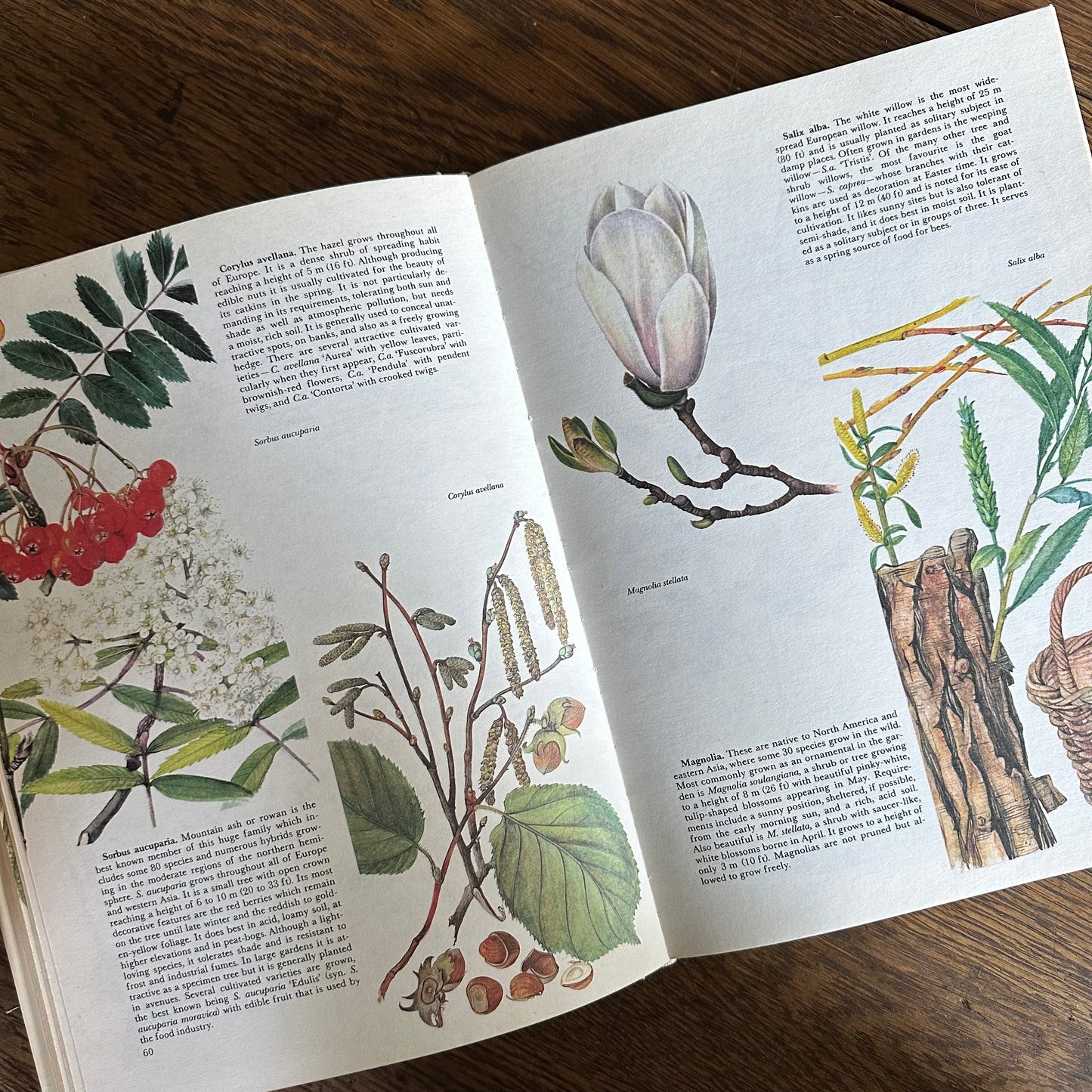 The Garden Flowers Book, 1986