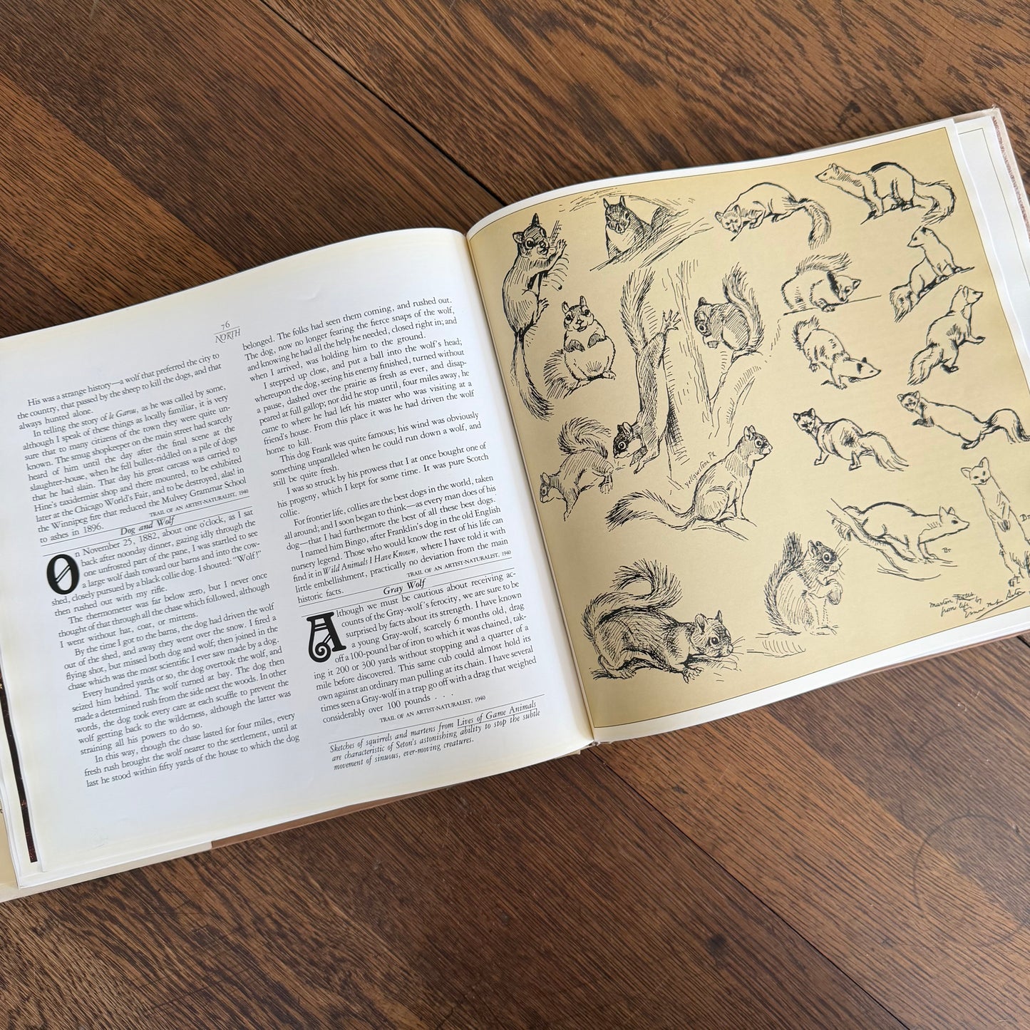 The Worlds of Ernest Thompson Seton -  1976 - First Edition - Edited by John G. Samson- Vintage Wildlife Art Nature Book