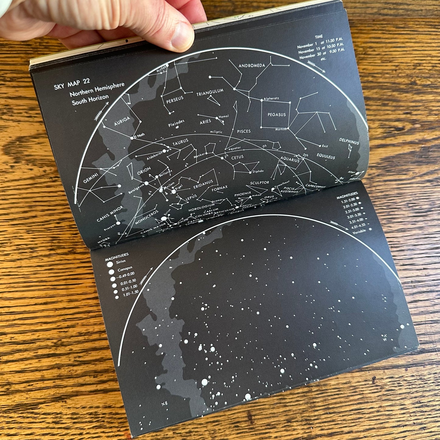 Set of 6 Vintage Peterson Field Guides | Softcover 1970s–80s Nature Books | Birds, Ferns, Wildflowers, Shells, Stars, Rocks