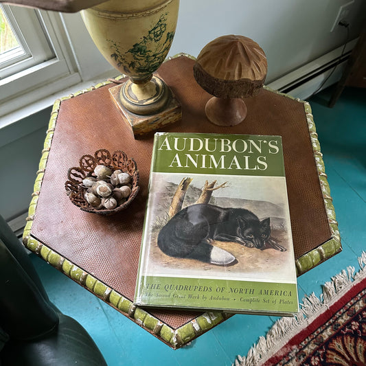 Audubon's Animals: The Quadrupeds of North America, 1951