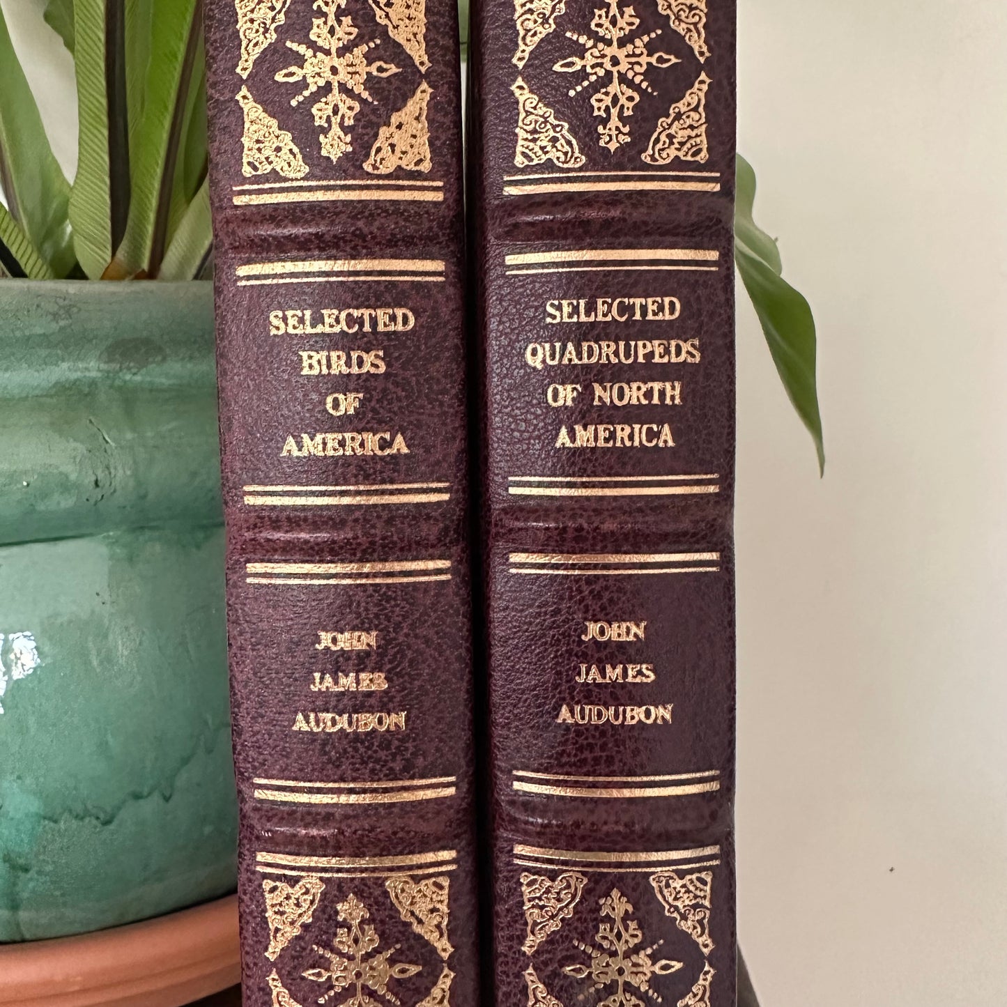 Set of 2 Slipcovered Volair Limited Editions of John James Audubon’s Classics - 1977
