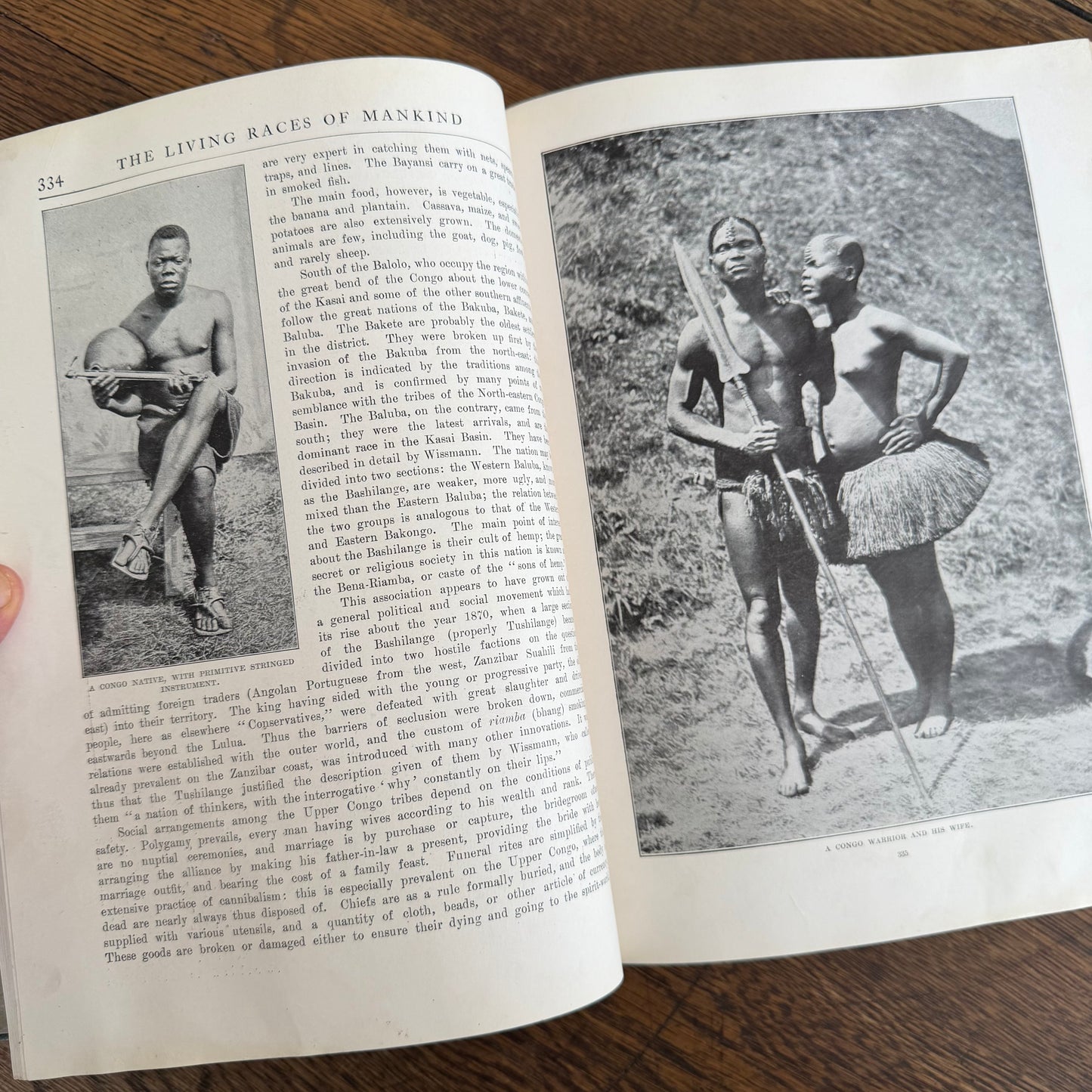1908 Standard Library of Natural History Set | Antique Zoology Ethnography Books | Living Animals of the World | University Society NY