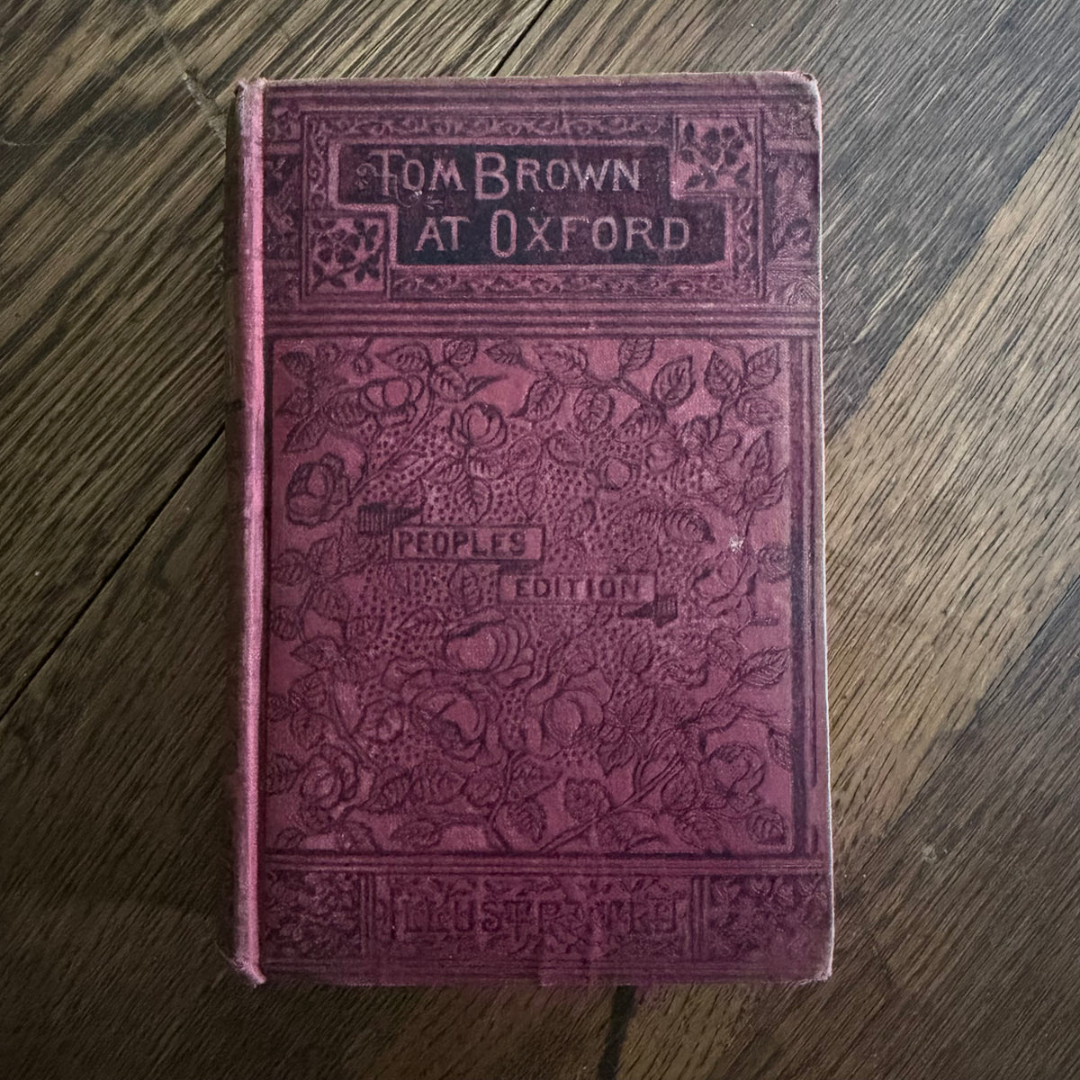 8 Antique Books, Victorian Literature & Children’s Classics — 1874–1888+ | Stowe, Hugo, Abbott, Hood, Beecher & More | Pretty & Seasonal Brown & Red Bindings
