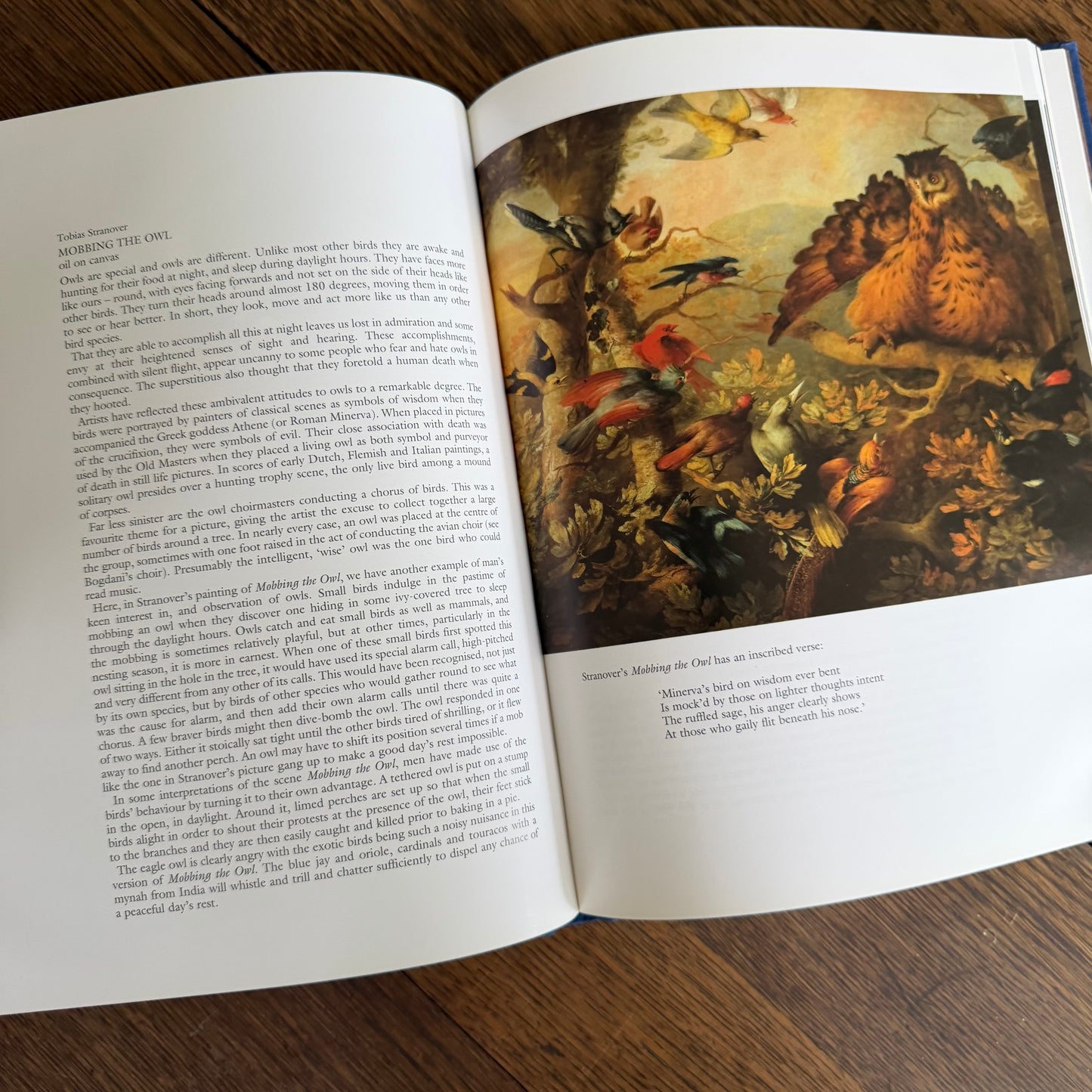 Bird Painting - The Eighteenth Century by Christine E Jackson, 1994: Antique Collectors Club, Vintage Coffee Table Book