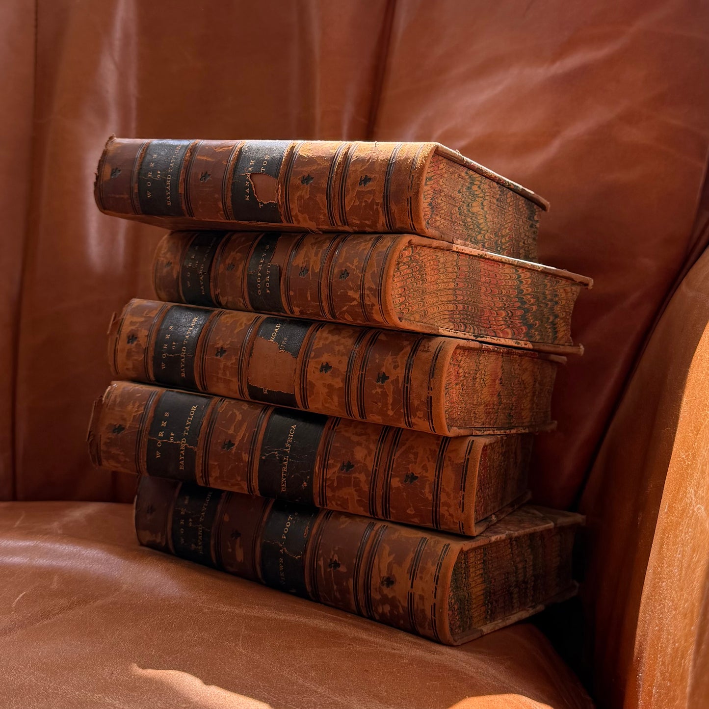 19th Century World Travel!  Prose Writings of Bayard Taylor - Set of 5, 1865-1868, G P Putnam New York, Antique Books, Half Leather, Marbled Edges