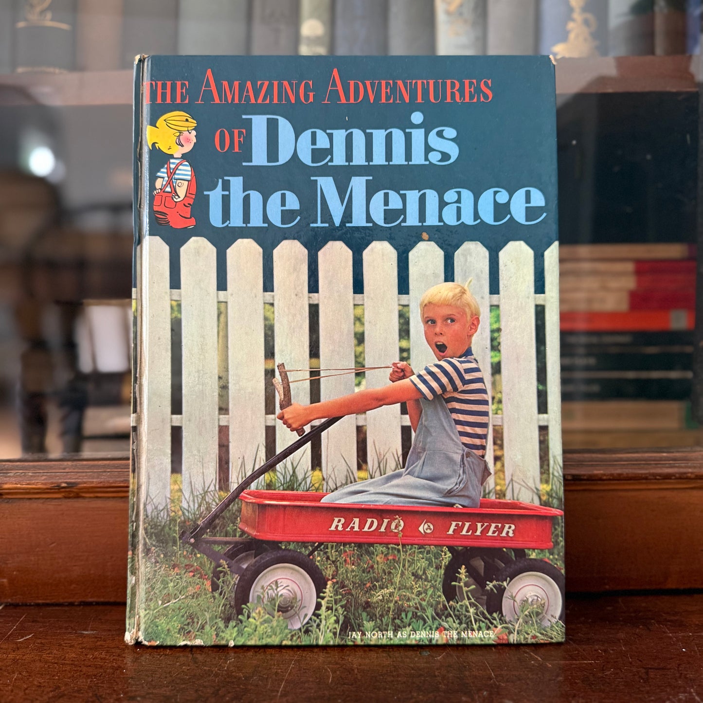 The Amazing Adventures of Dennis the Menace | 1961 Random House Books for Children | Lee Holley Illustrated | Hank Ketcham | Vintage Children’s Book