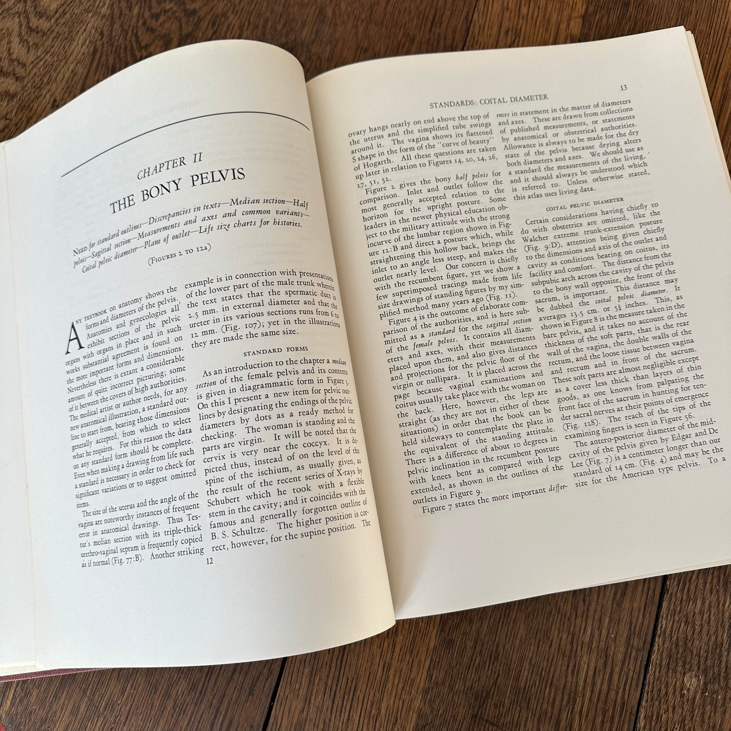 Human Sex Anatomy: A Topographical Hand Atlas, 1949