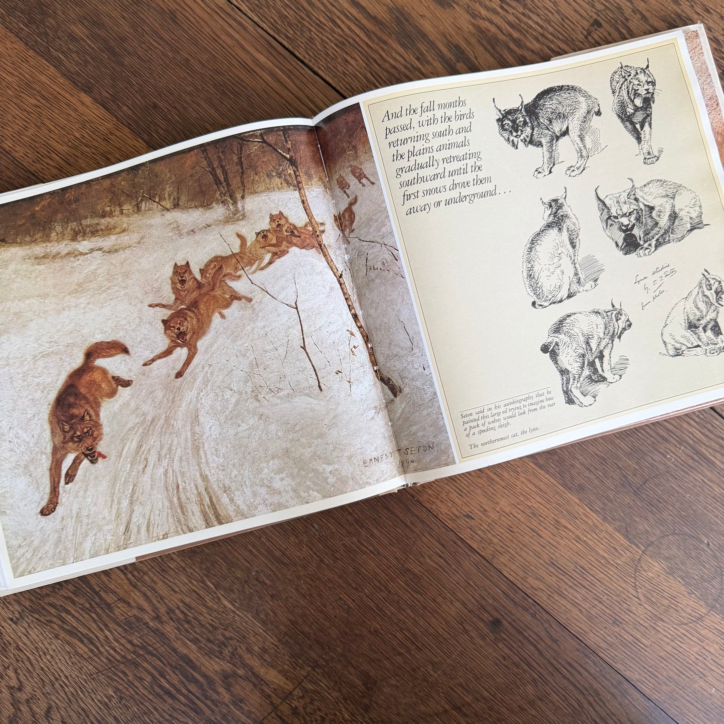 The Worlds of Ernest Thompson Seton -  1976 - First Edition - Edited by John G. Samson- Vintage Wildlife Art Nature Book