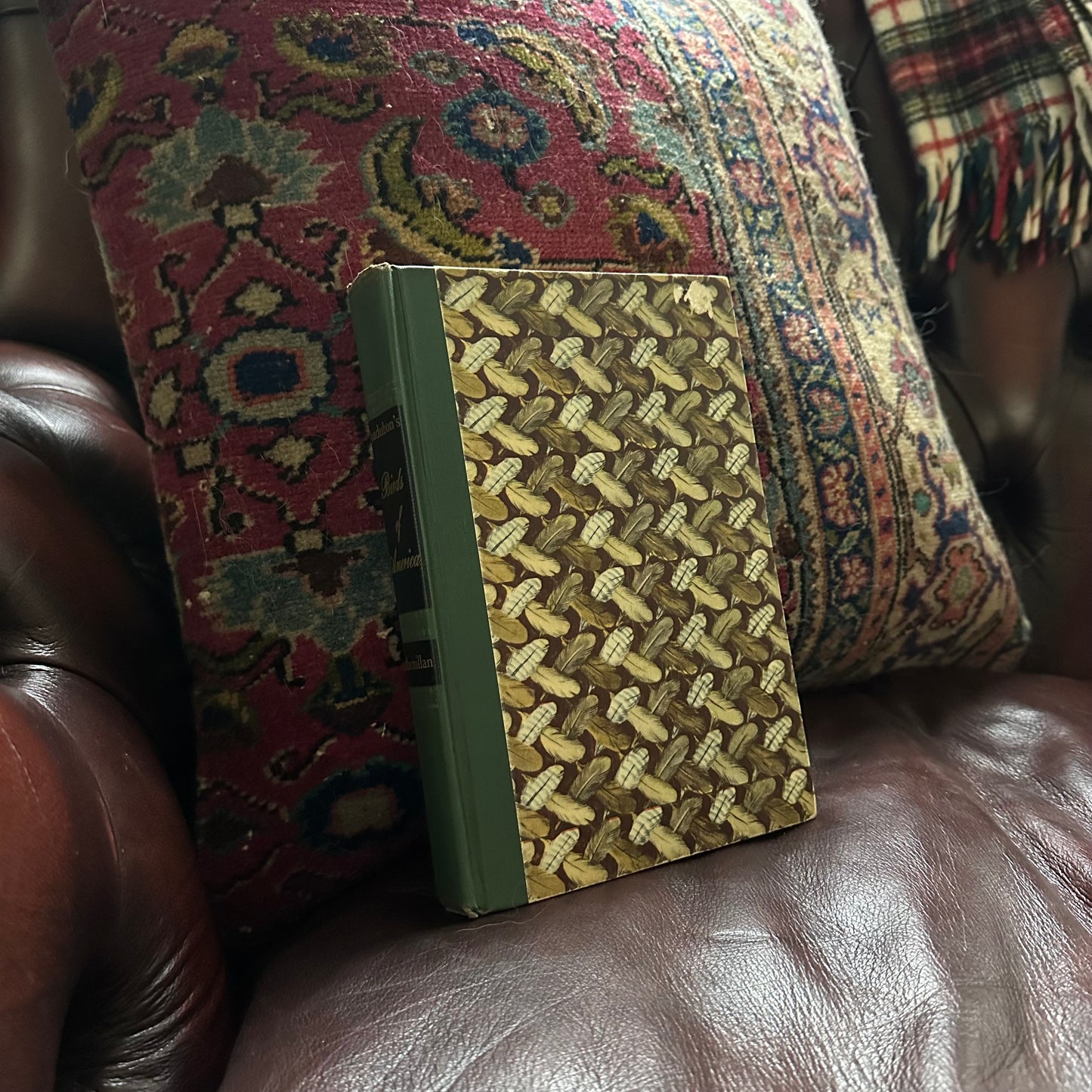 Audubon’s Birds of America - 1950 Popular Edition