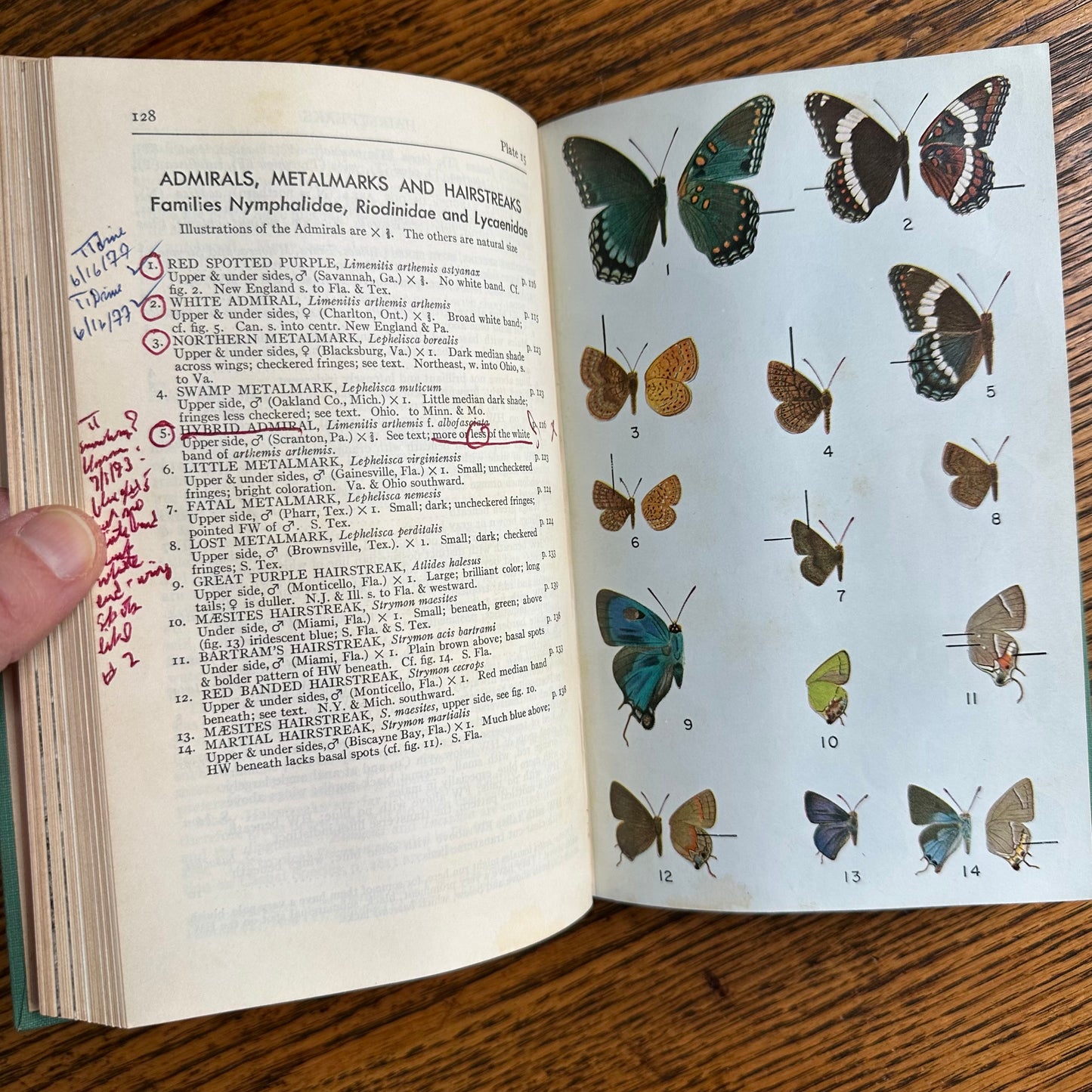 A Collection of 13 Vintage Peterson Field Guides!