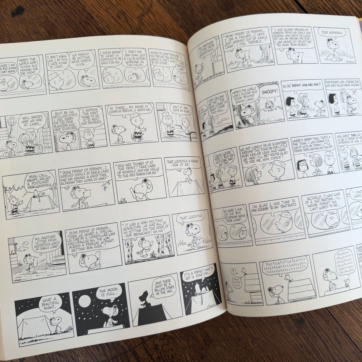 The Snoopy Festival by Charles M. Schulz 1974, Vintage Peanuts & Charlie Brown Coffee Table Book, Holt Rinehart Winston