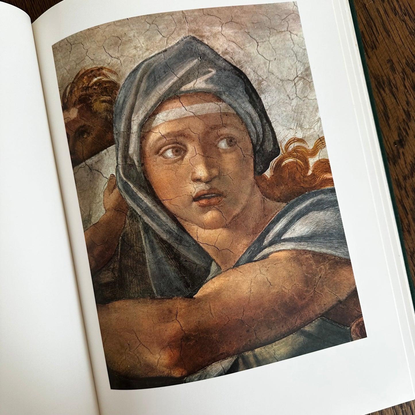 Michelangelo: The Painter by Valerio Mariani | Vintage 1964 Art Book | Harry N. Abrams Fine Art Monograph