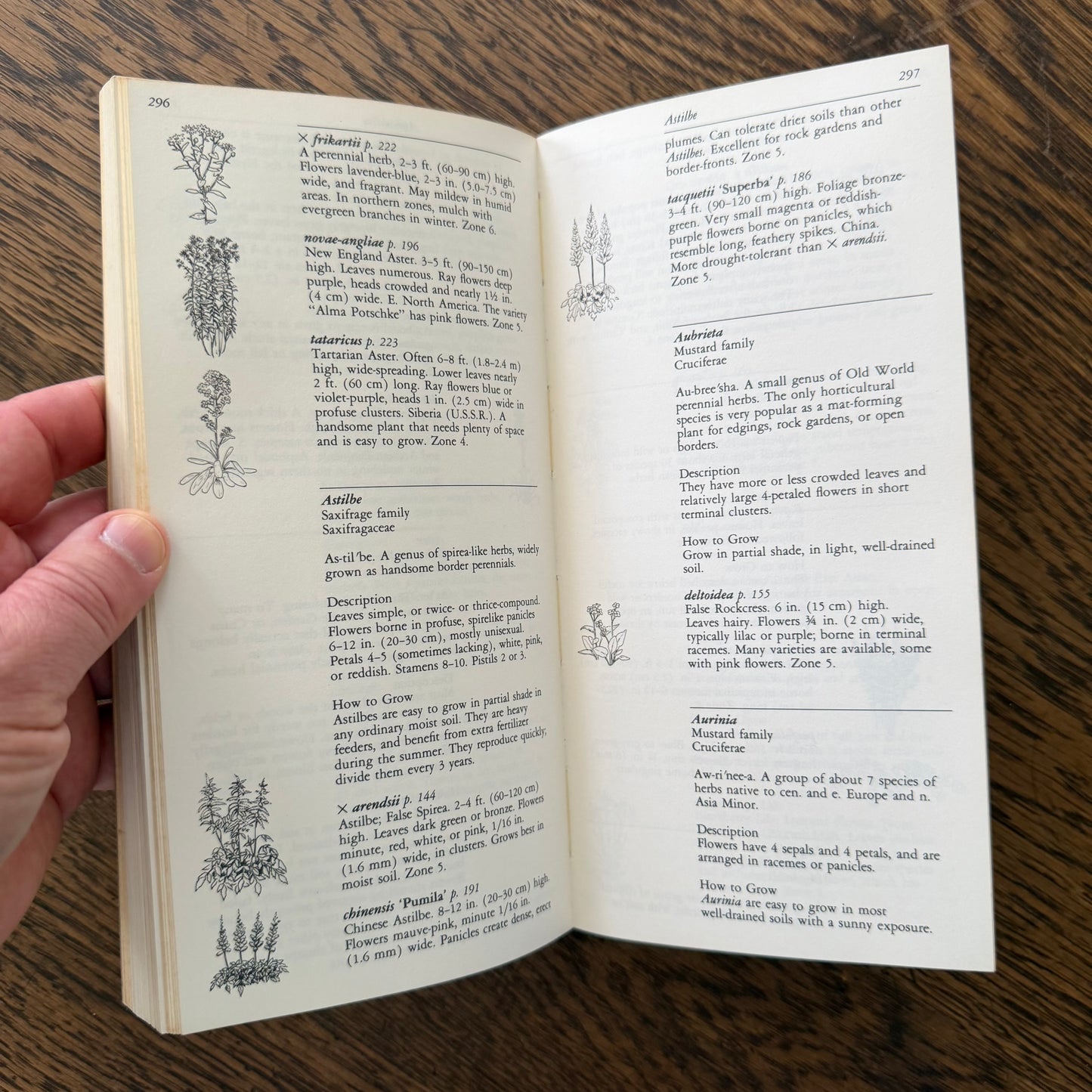Taylor’s Guides to Gardening Set of 10 | Houghton Mifflin 1986–1996 | Bulbs Roses Herbs Houseplants Garden Design | Vintage Gardening Books