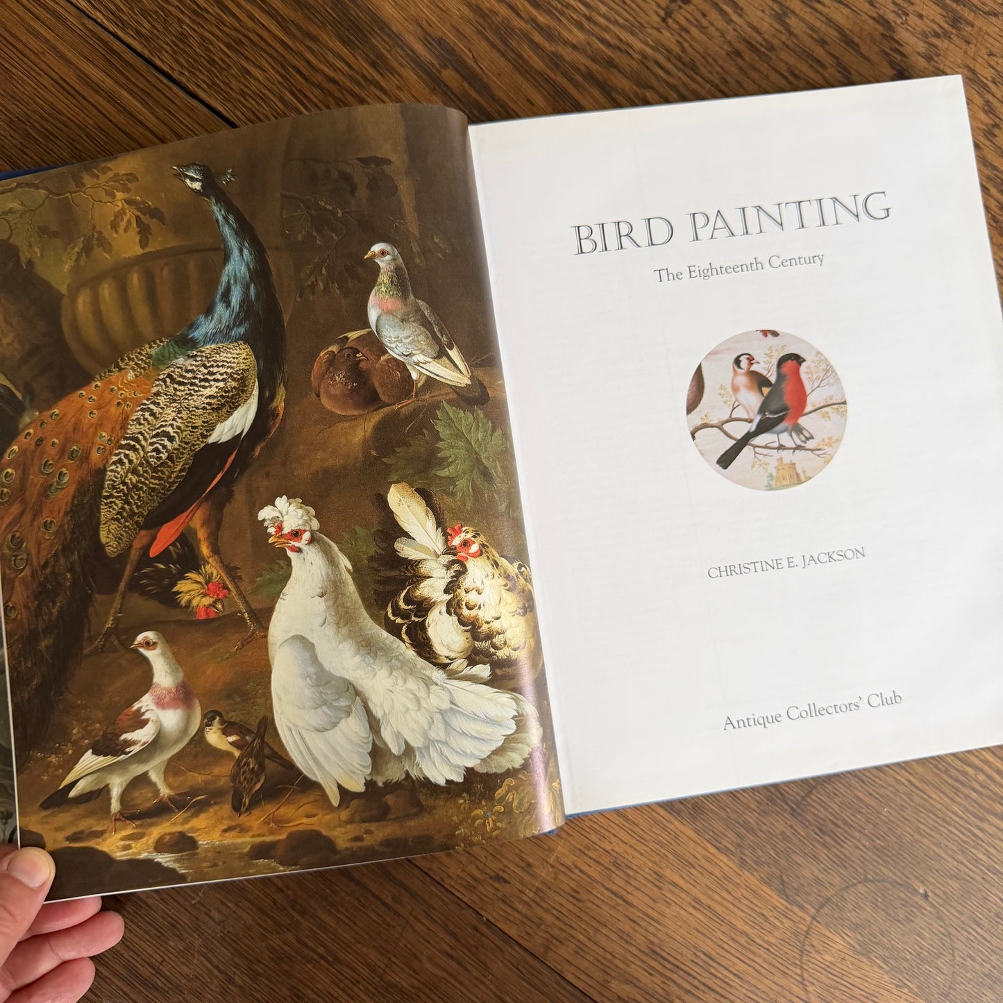 Bird Painting - The Eighteenth Century by Christine E Jackson, 1994: Antique Collectors Club, Vintage Coffee Table Book