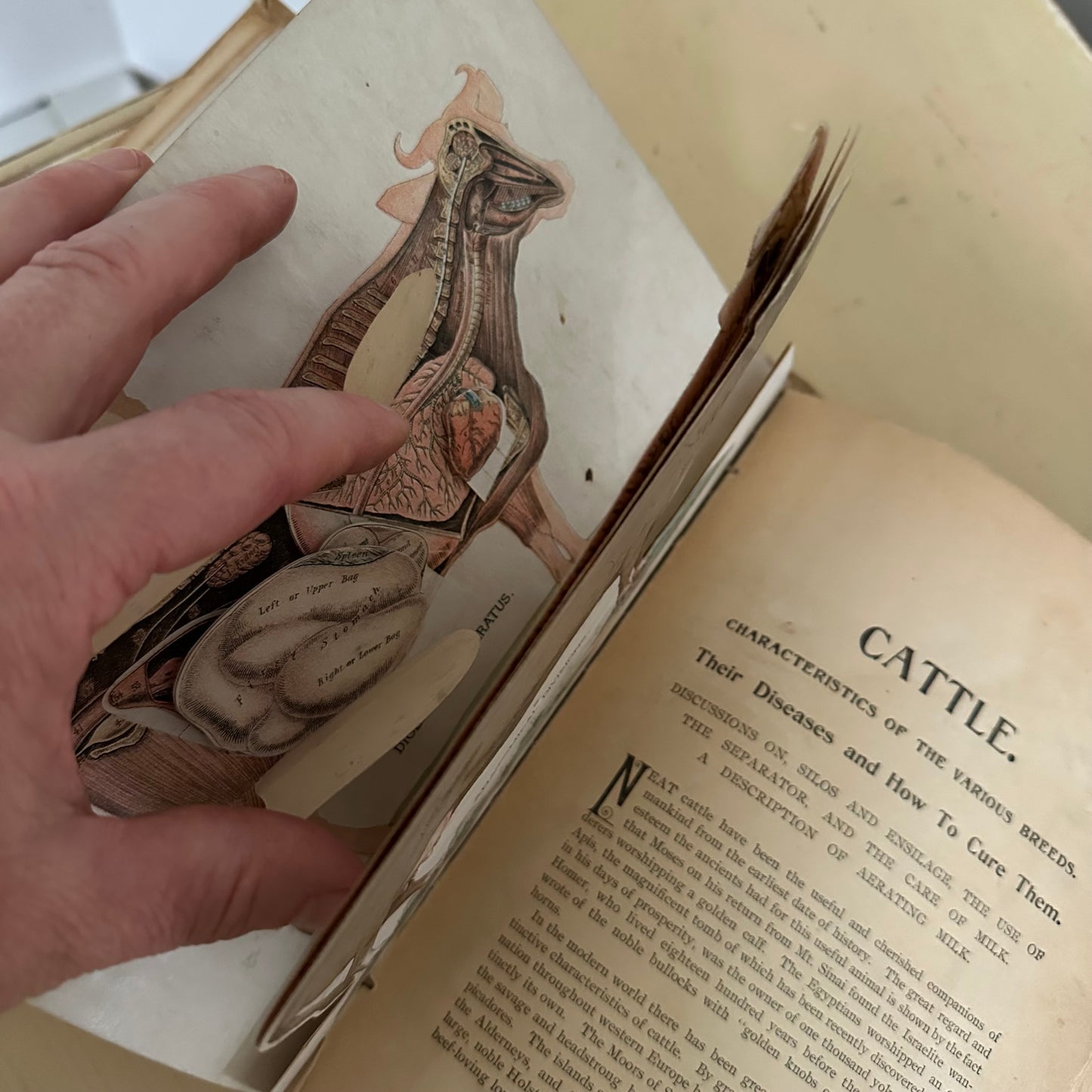 Hand-Book of Ready Reference for Farmers & Homesteaders - 1897