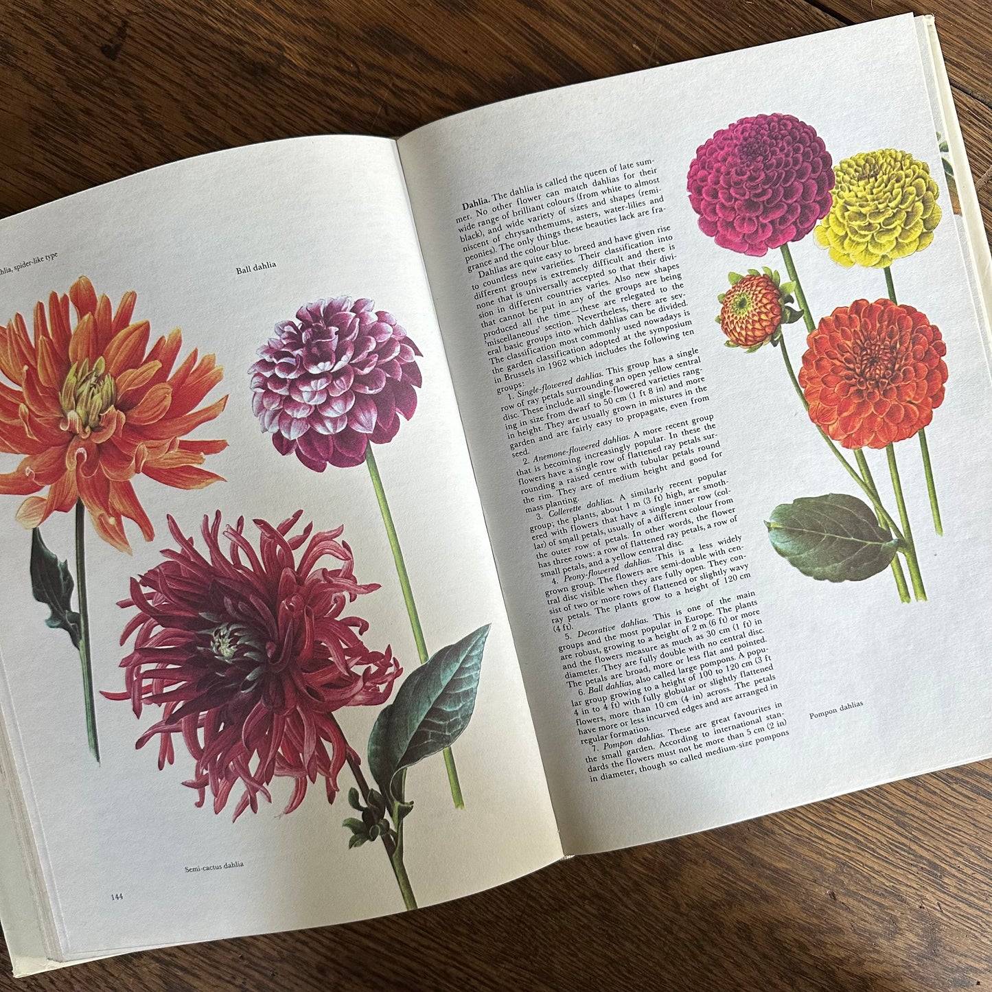 The Garden Flowers Book, 1986