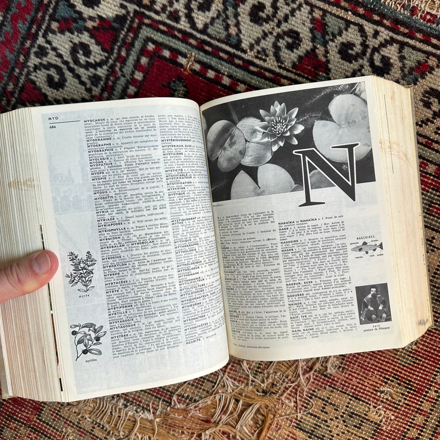Petit Larousse French Encyclopedic Dictionary - 1967