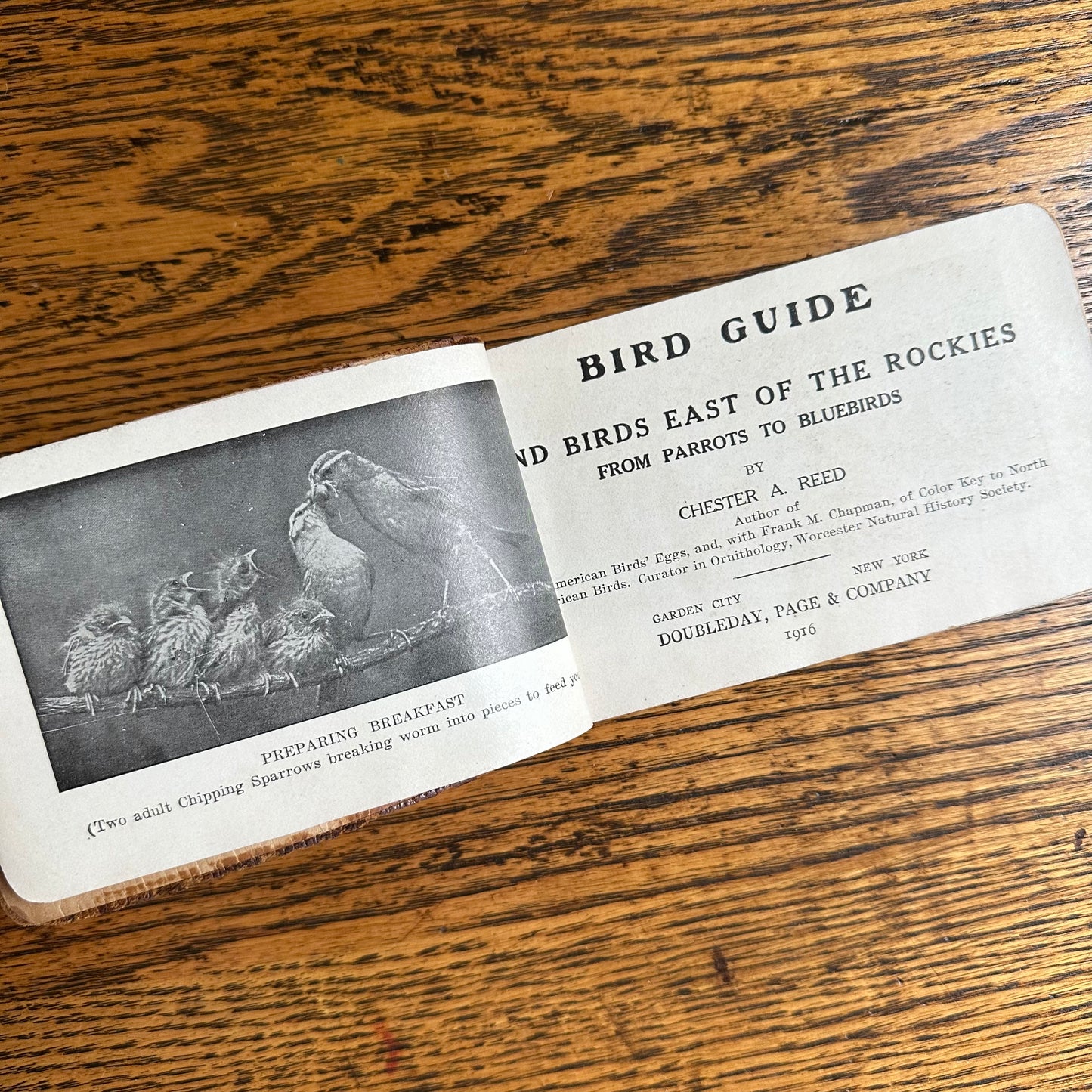 A Set of 3 Leather-Bound Pocket Nature Guides - 1916