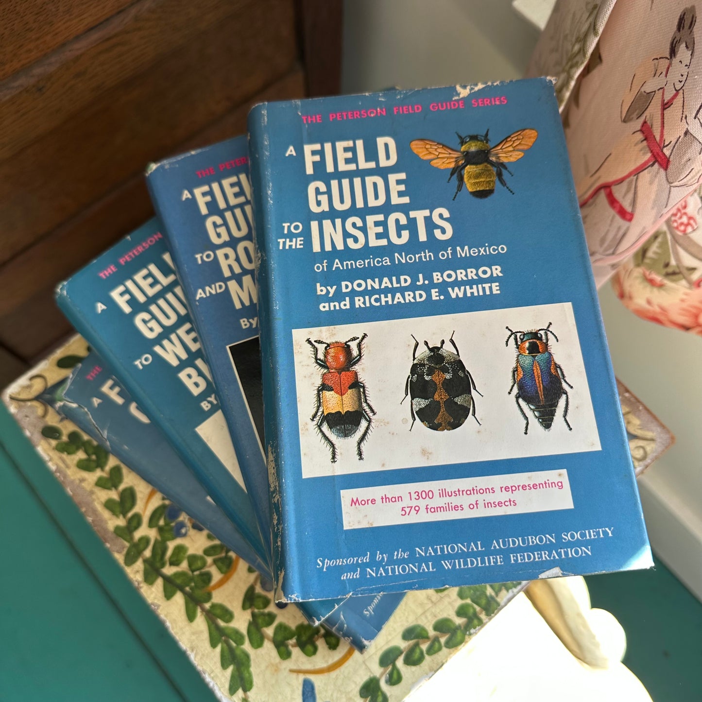 Peterson Field Guide Set of 4: Birds, Insects, Rocks/Minerals - Vintage Nature Books