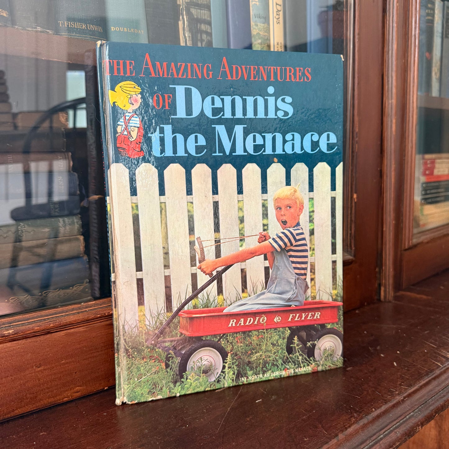 The Amazing Adventures of Dennis the Menace | 1961 Random House Books for Children | Lee Holley Illustrated | Hank Ketcham | Vintage Children’s Book