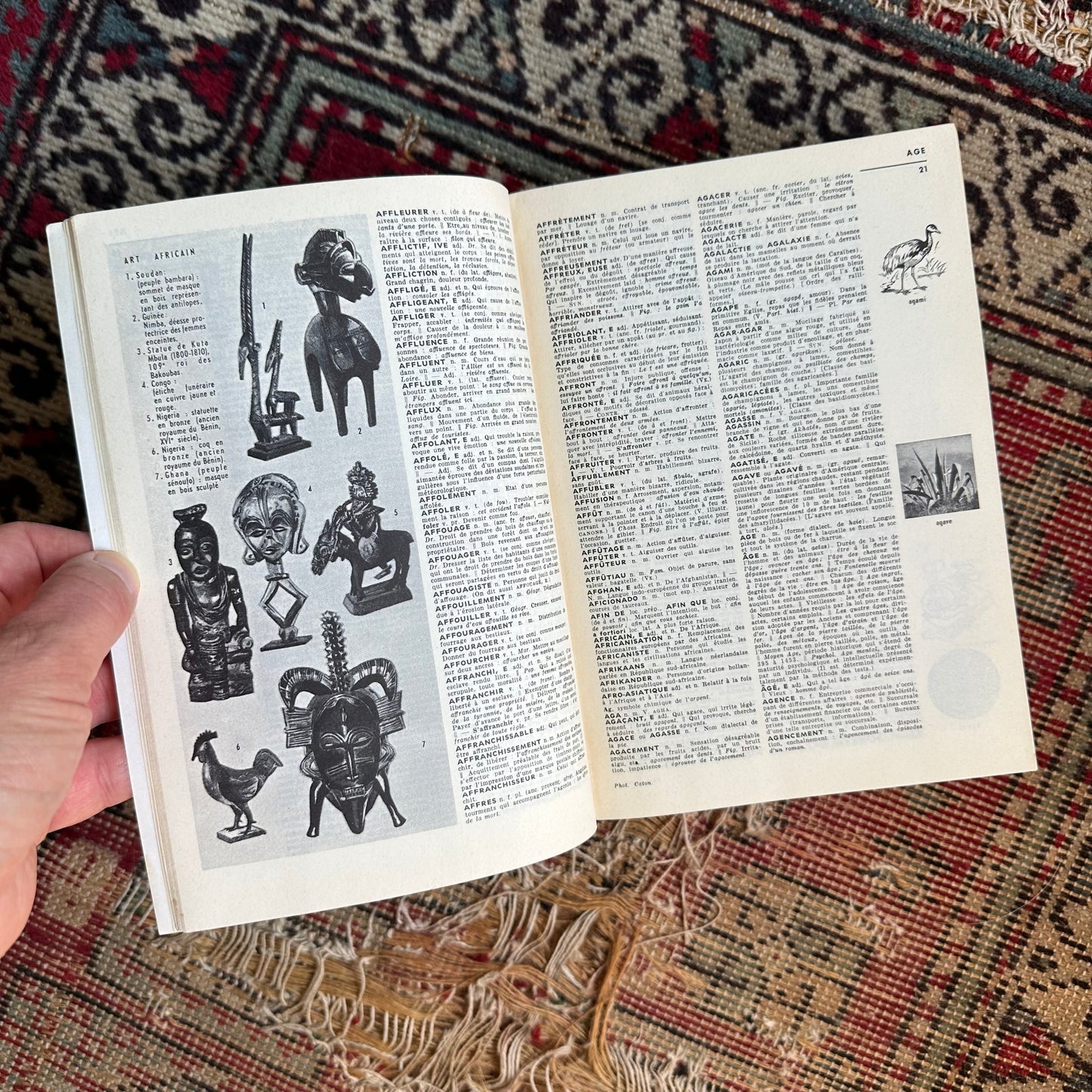 Petit Larousse French Encyclopedic Dictionary - 1967