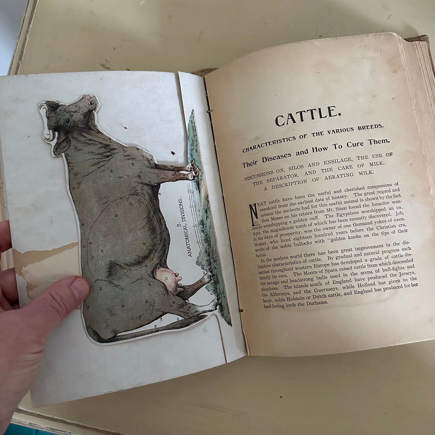 Hand-Book of Ready Reference for Farmers & Homesteaders - 1897