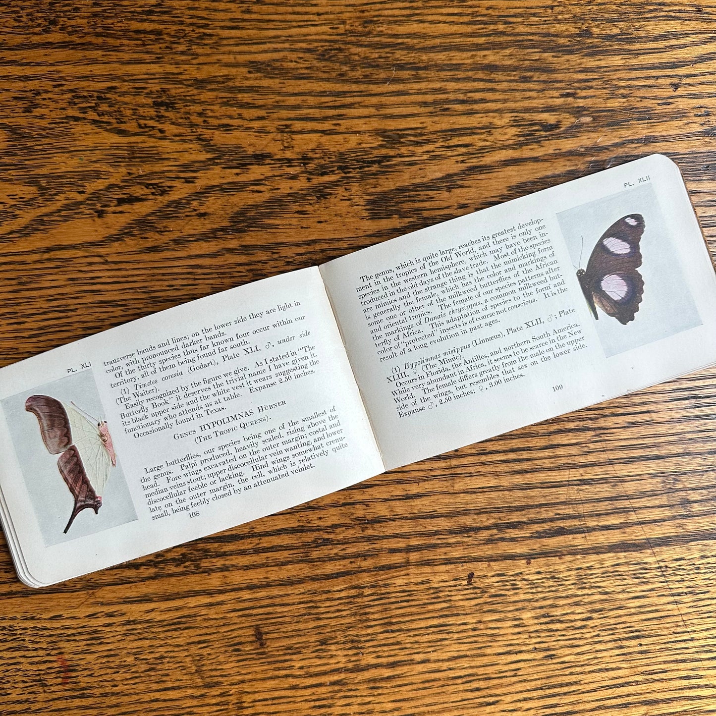 A Set of 3 Leather-Bound Pocket Nature Guides - 1916