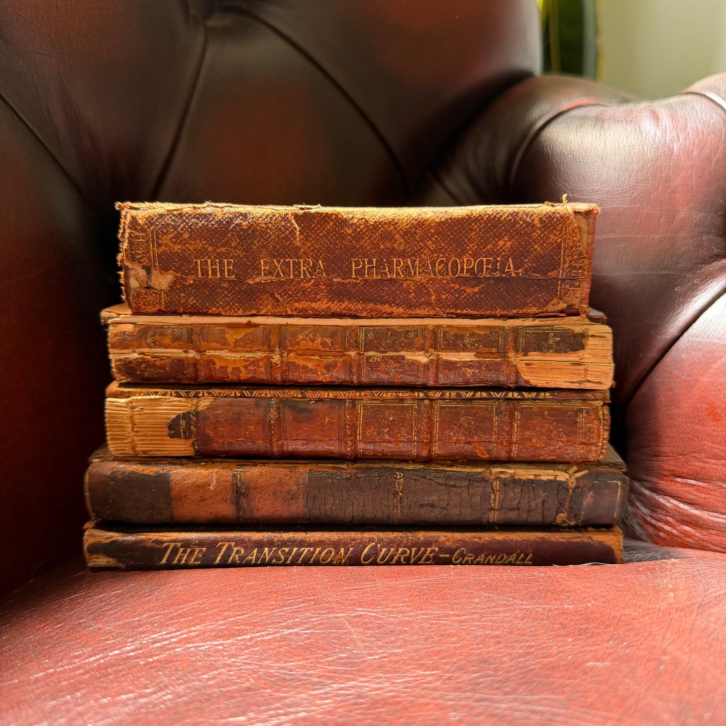 Antique Leather Bound Books Set of 5 | 1700s–1900s Decor Collection | Tristram Shandy 1772 | Fielding 1782 | Crandall 1909 | Apothecary Book