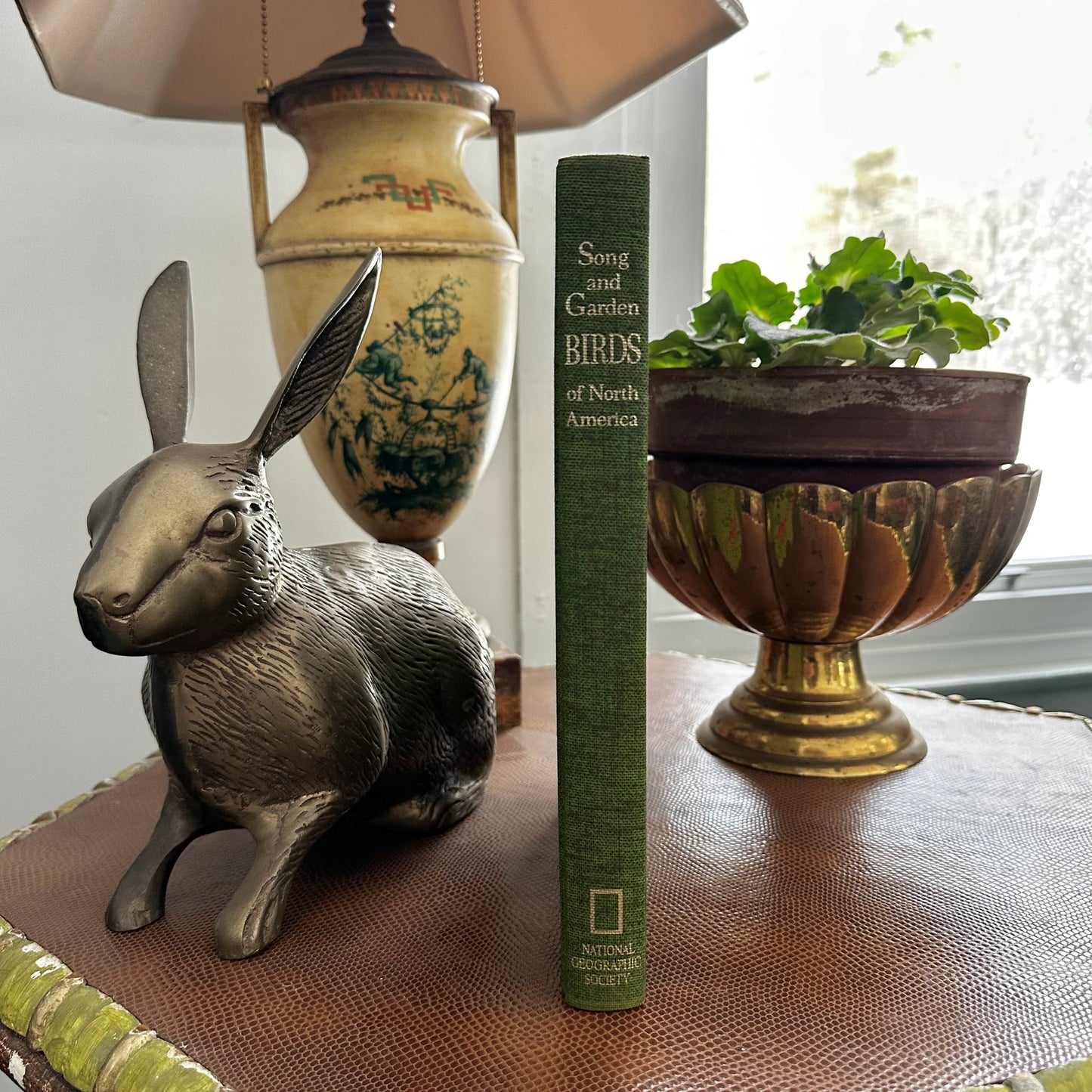 Vintage 1964 Song and Garden Birds of North America – National Geographic Society – Alexander Wetmore – Illustrated Bird Guide w/ Companion Booklet – Birdwatching Book