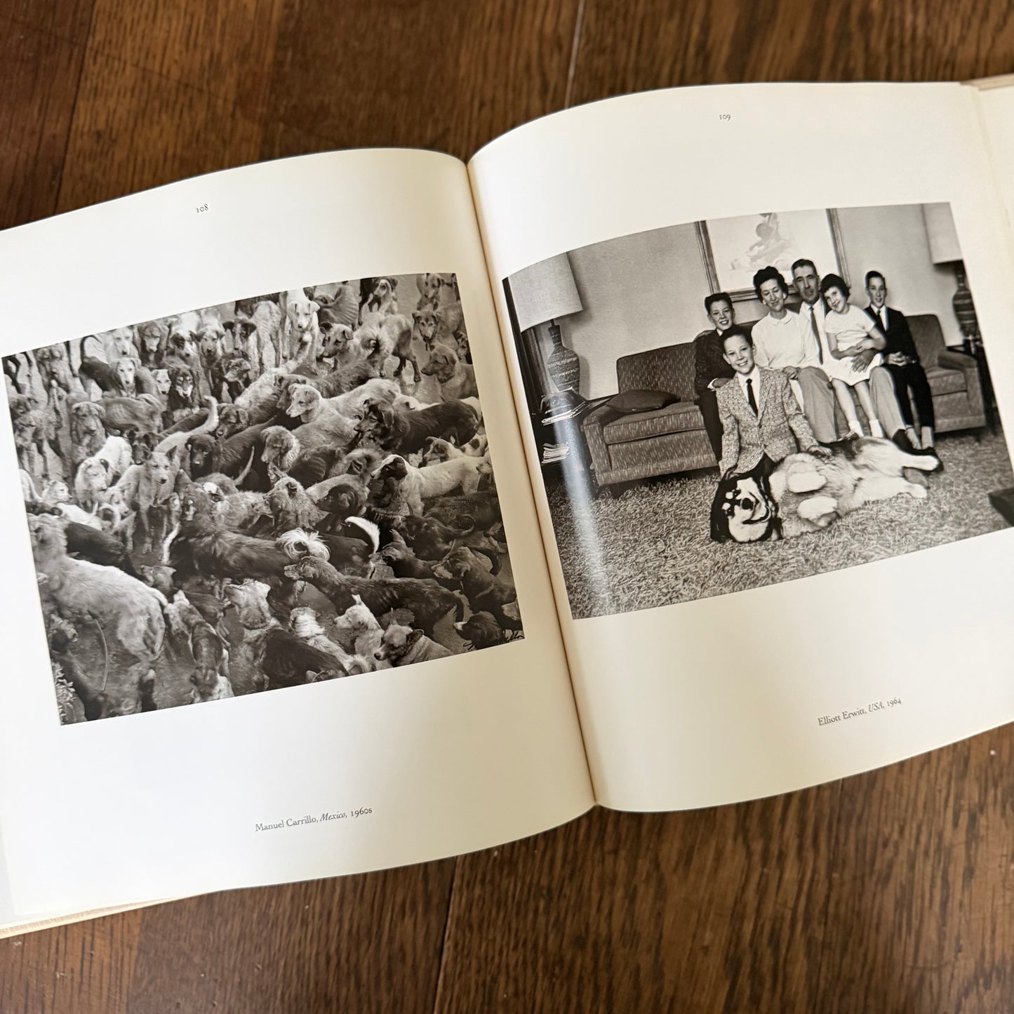 The Dog Observed: Photographs 1844-1983 by Ruth Silverman - Vintage Dog Photography Book