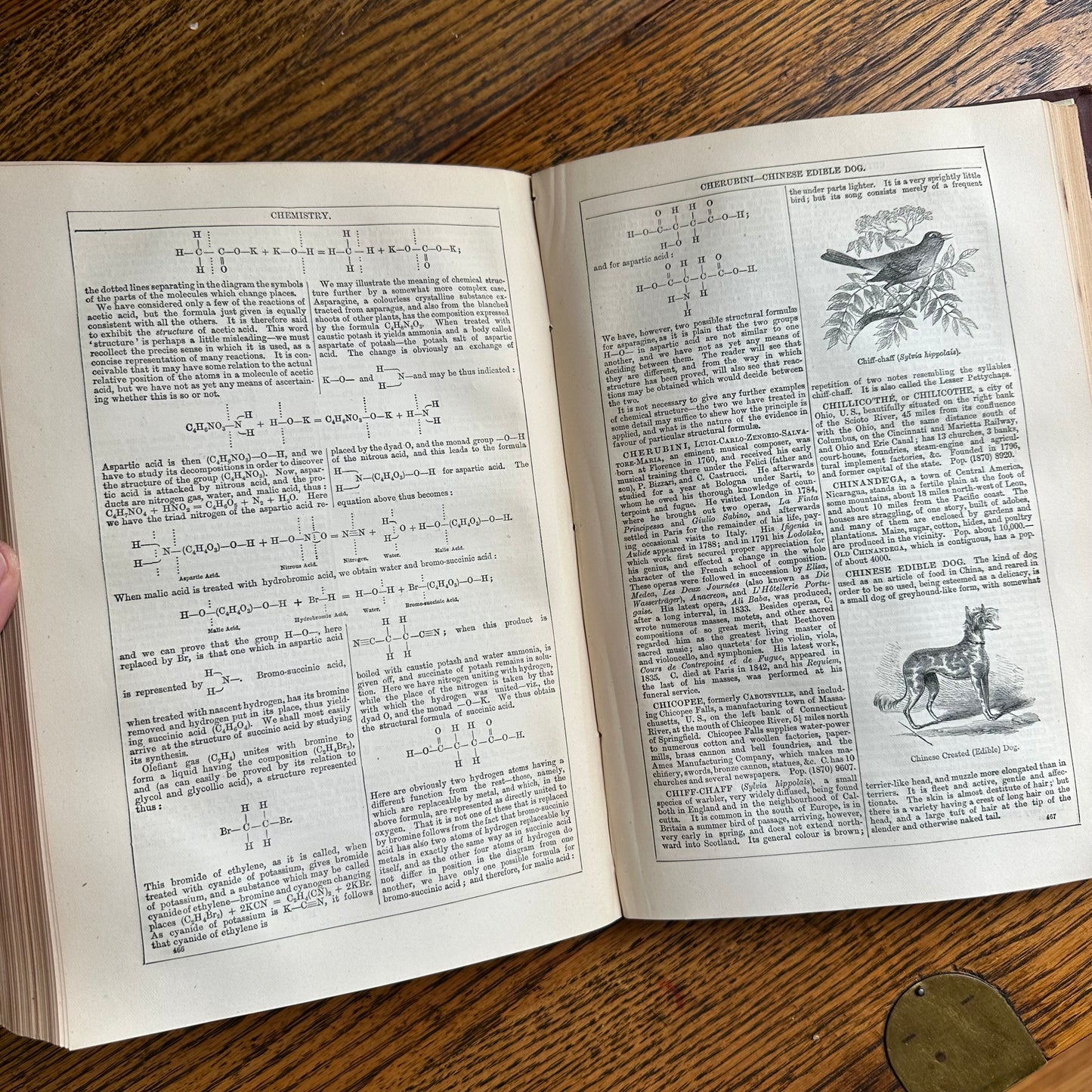 Chambers’s Encyclopaedia - 1877 - in 10 Volumes