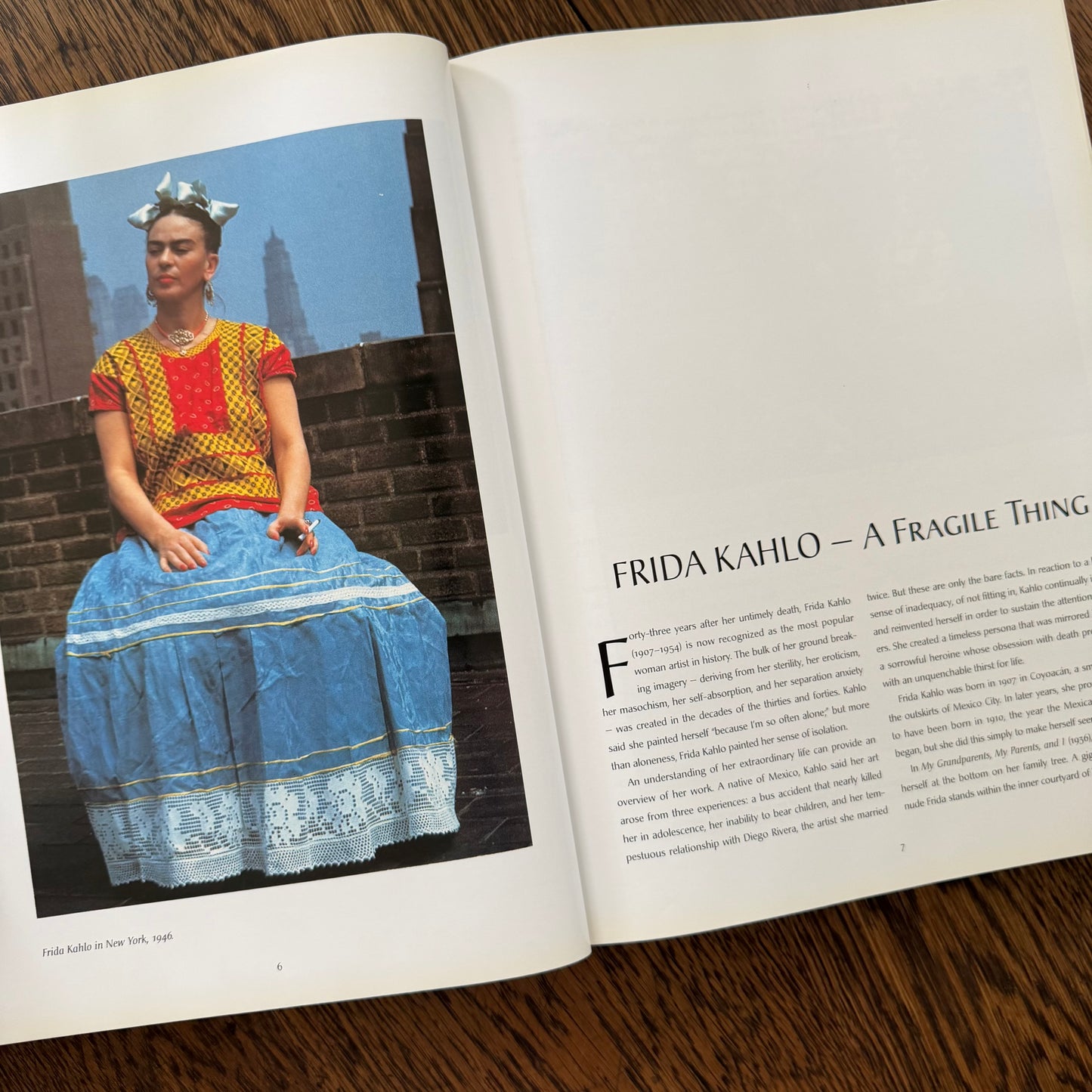 Frida Kahlo by Salomon Grimberg | Oversized Art Book | Hardcover with Dust Jacket | 2004 | Mexican Artist Biography | Illustrated