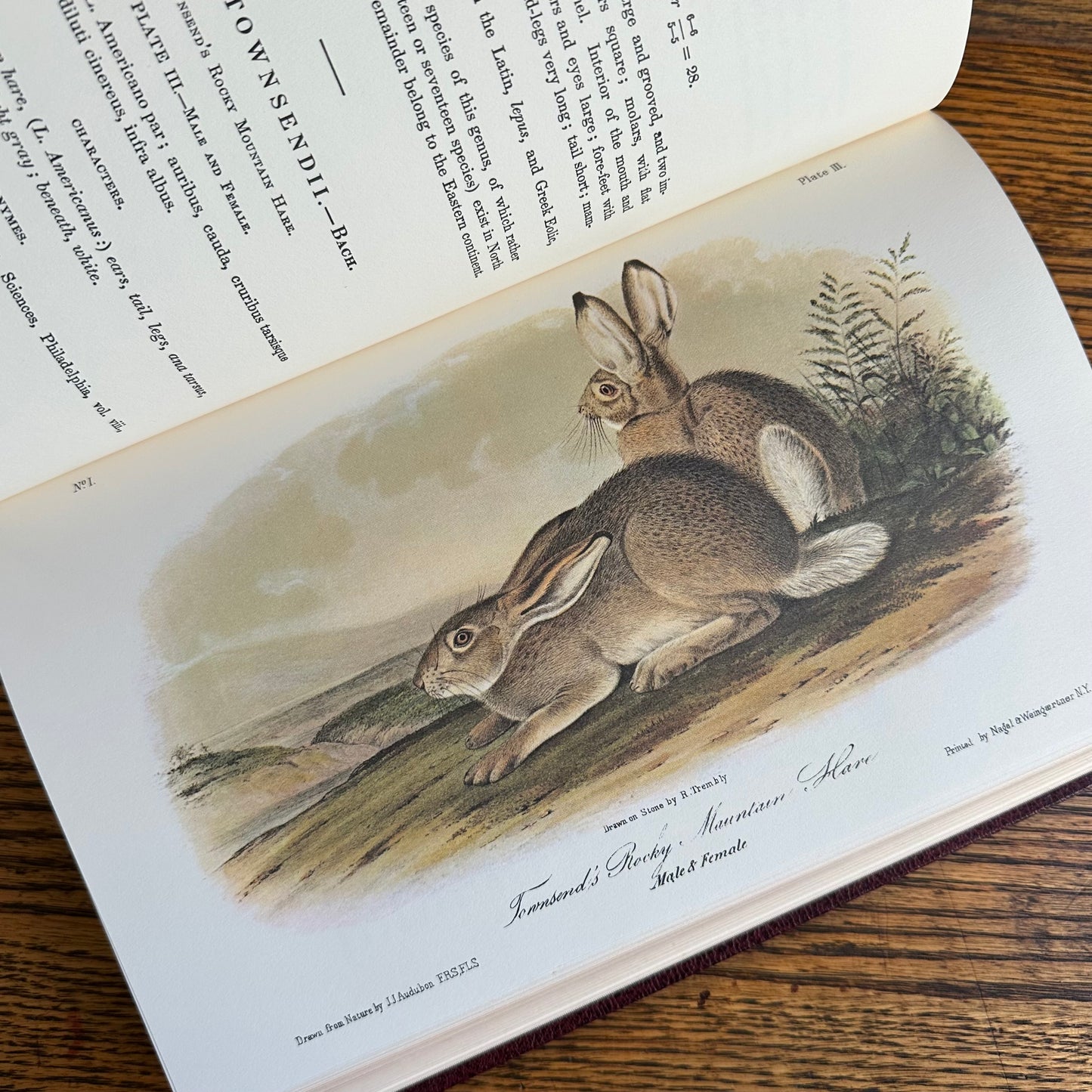 Set of 2 Slipcovered Volair Limited Editions of John James Audubon’s Classics - 1977