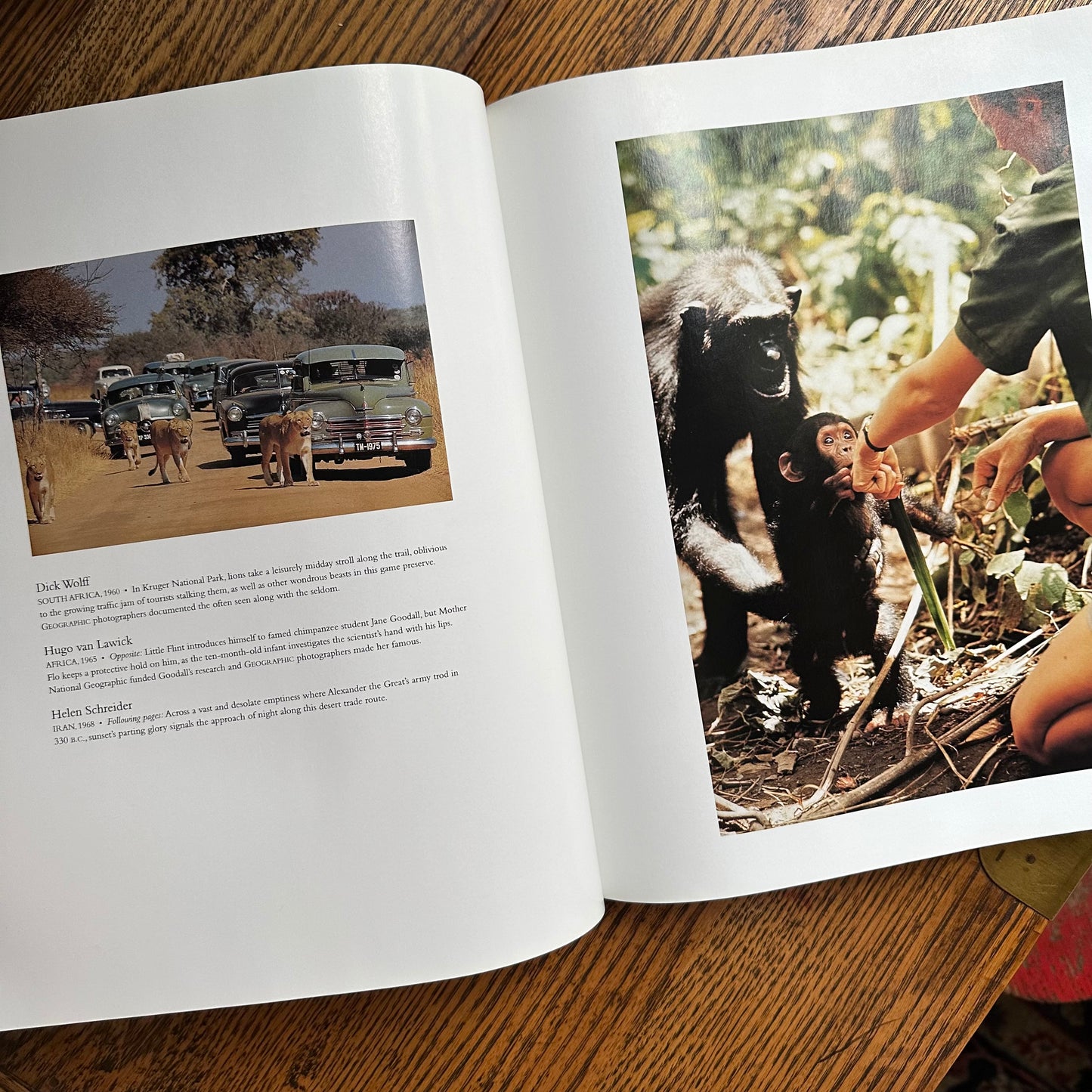 Stack of 6 Vintage NatGeo Coffee Table Books in Silver, White, and Black