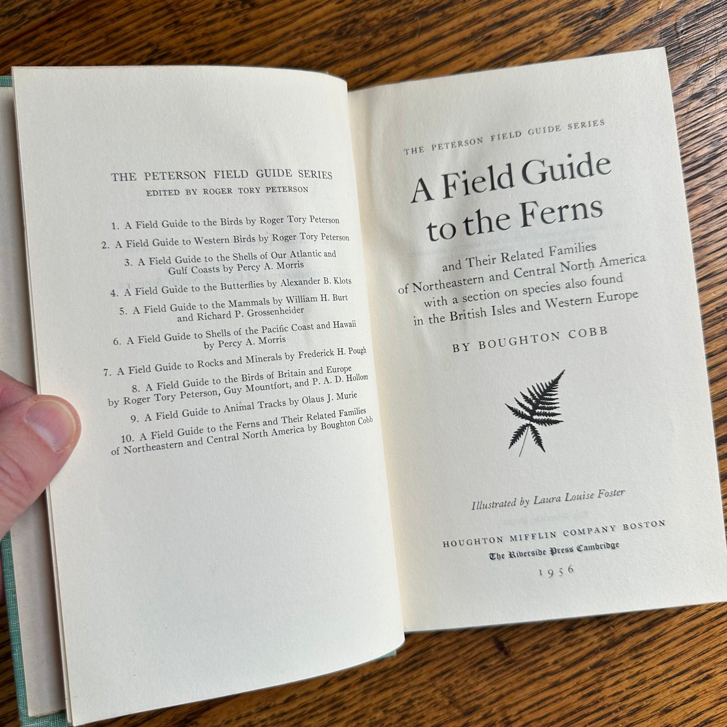 A Collection of 13 Vintage Peterson Field Guides!