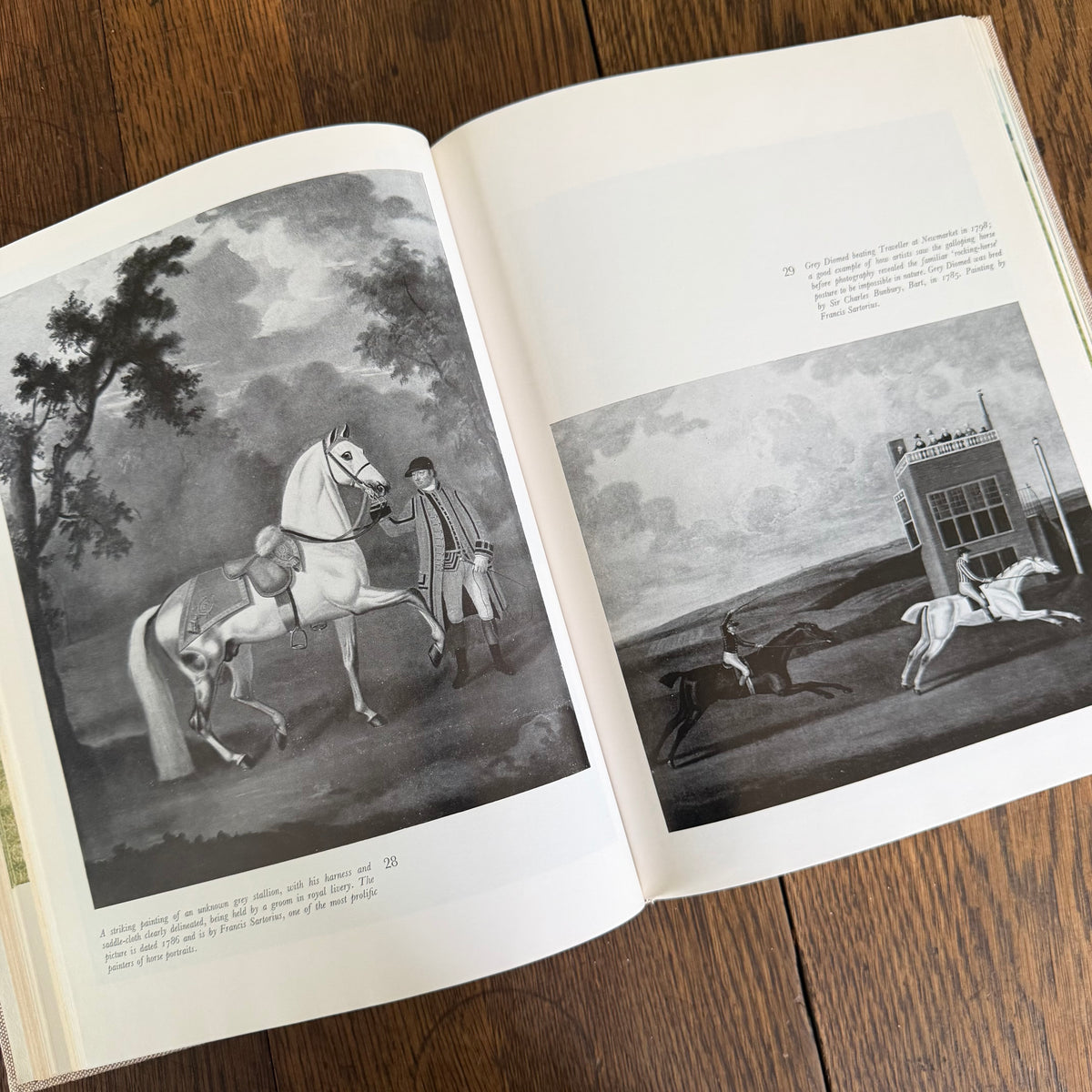 The World’s Finest Horses and Ponies - 1971 Vintage Coffee Table Book by Richard Glyn with Photos from Sally Anne Thompson