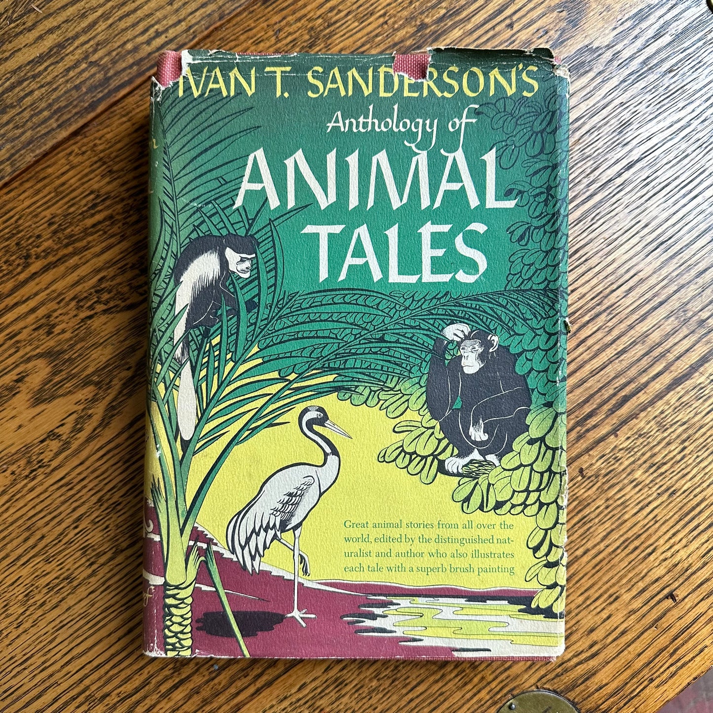 A Stack of 9 Vintage Illustrated Books for Kids