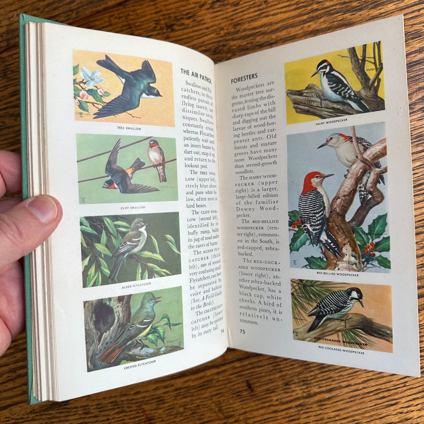 A Collection of 13 Vintage Peterson Field Guides!
