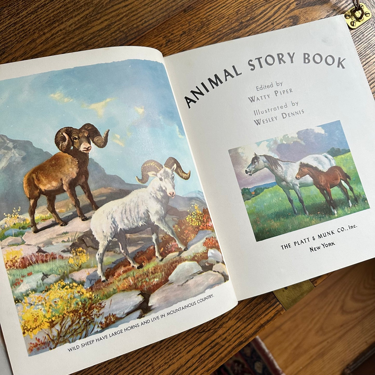 Animal Story Book - 1954